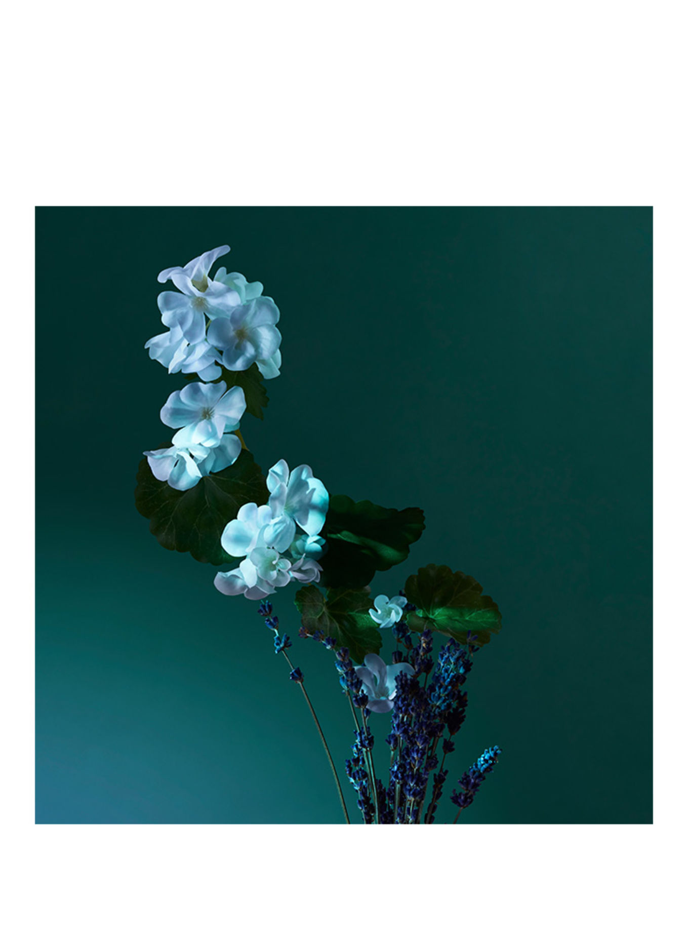 PENHALIGON'S POTIONS A BALM OF CALM