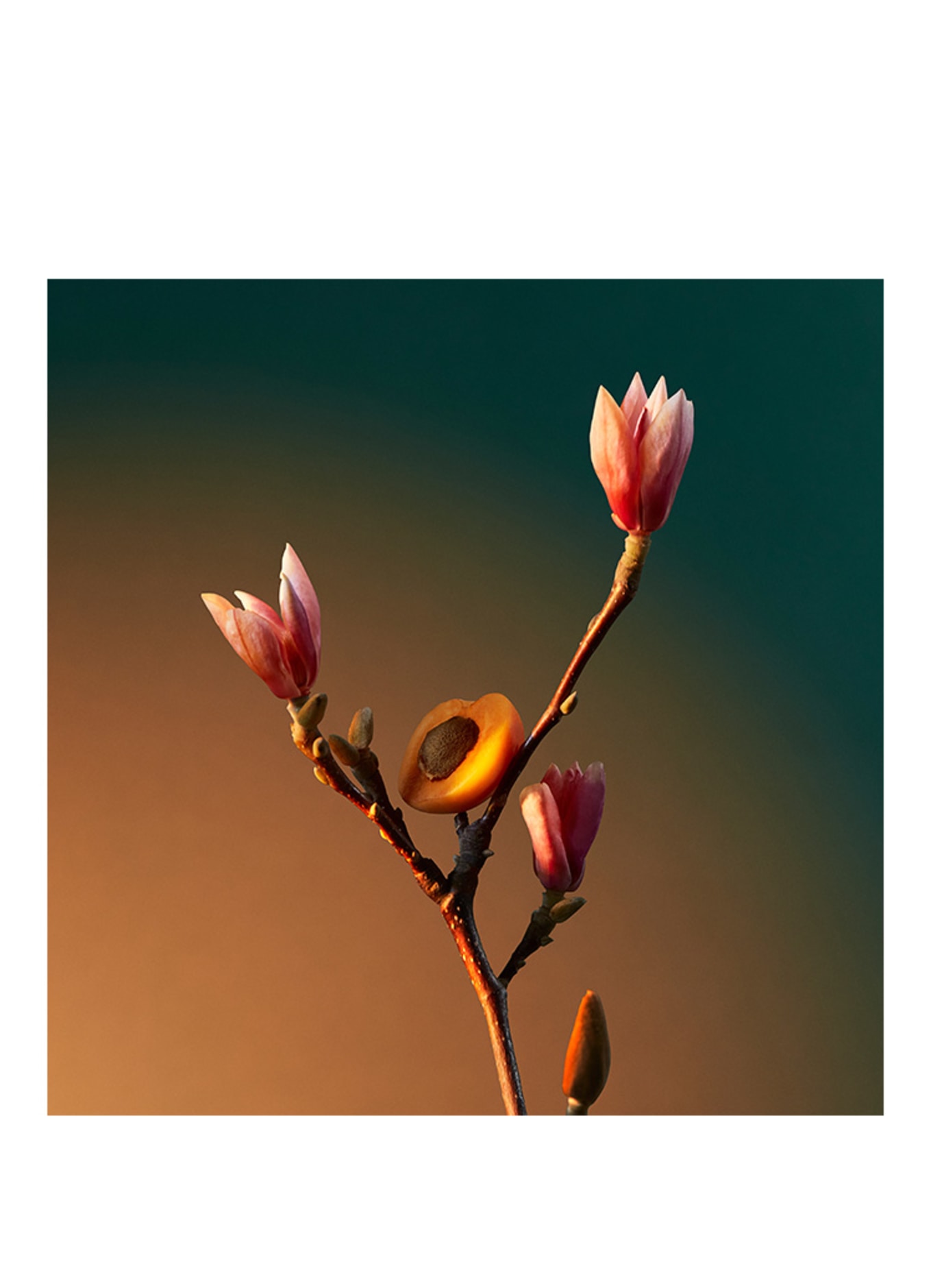 PENHALIGON'S VRA VRA VROOM