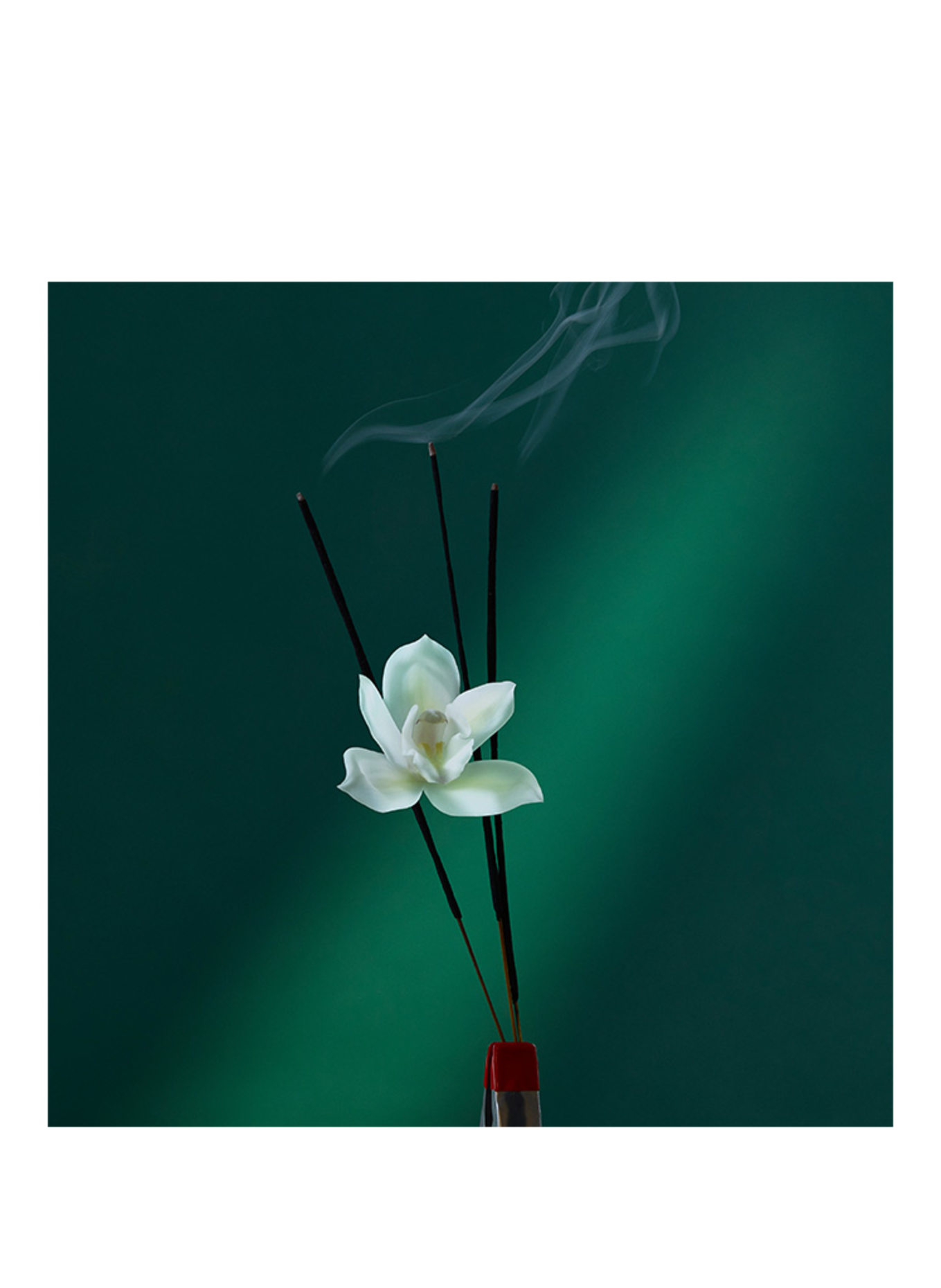 PENHALIGON'S EAU THE AUDACITY