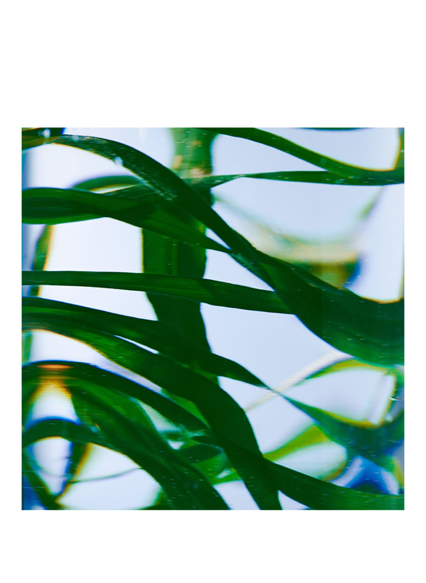 BYREDO VETYVER REFILL