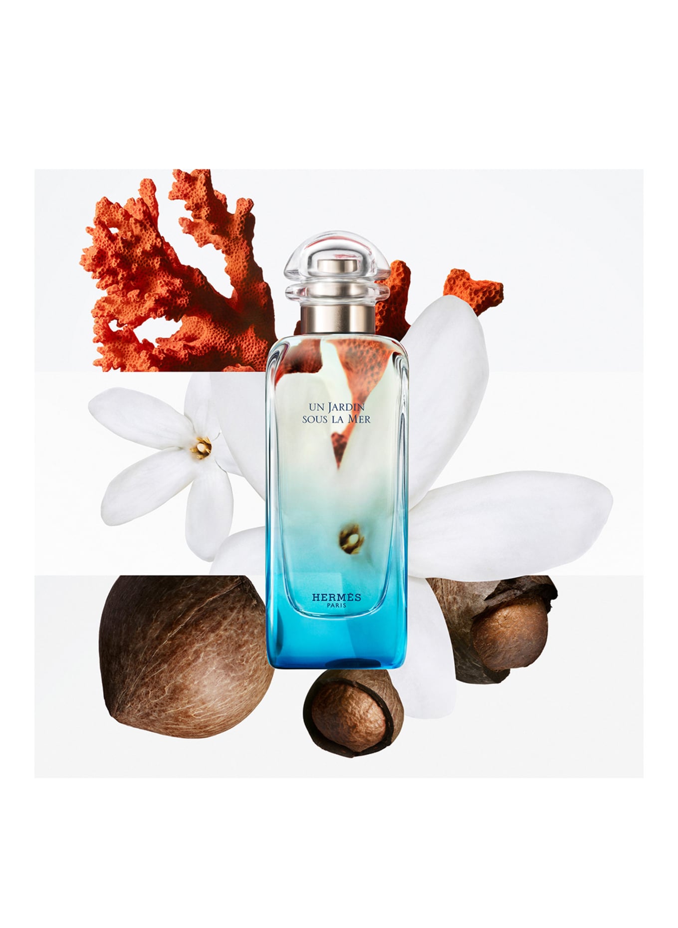 HERMÈS UN JARDIN SOUS LA MER