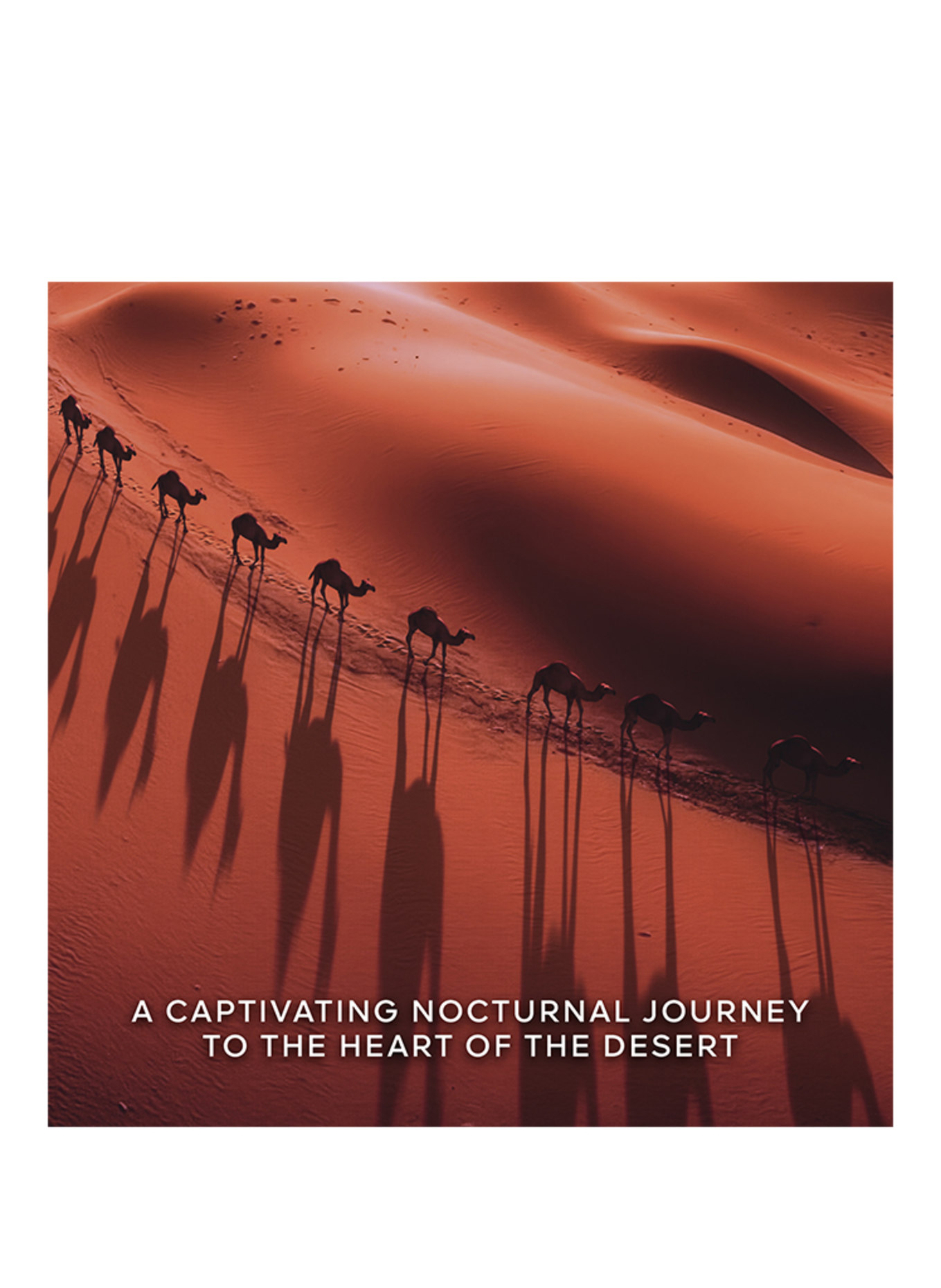 GUERLAIN ABSOLUS ALLEGORIA TABAC SAHARA