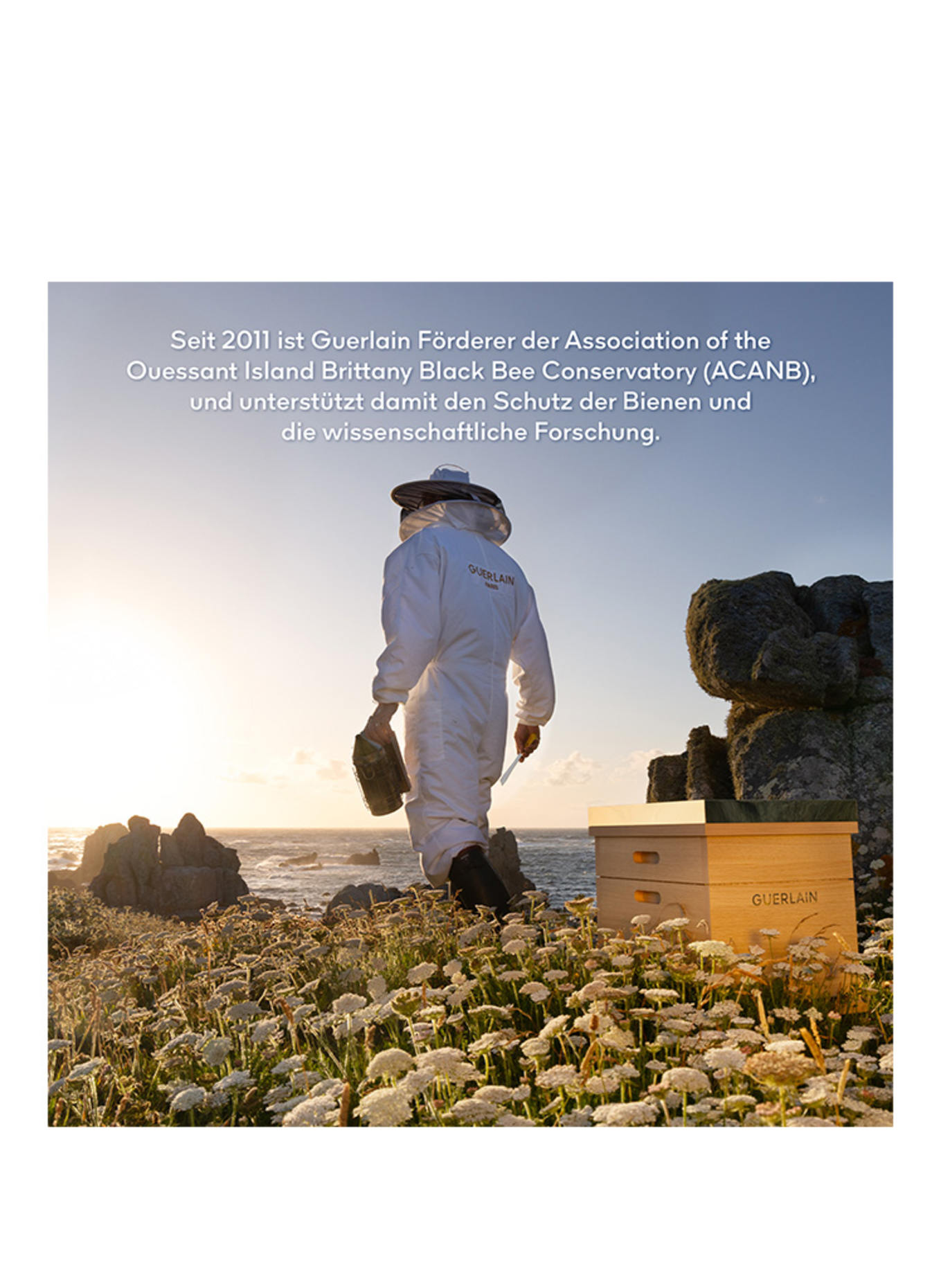 GUERLAIN ABEILLE ROYALE