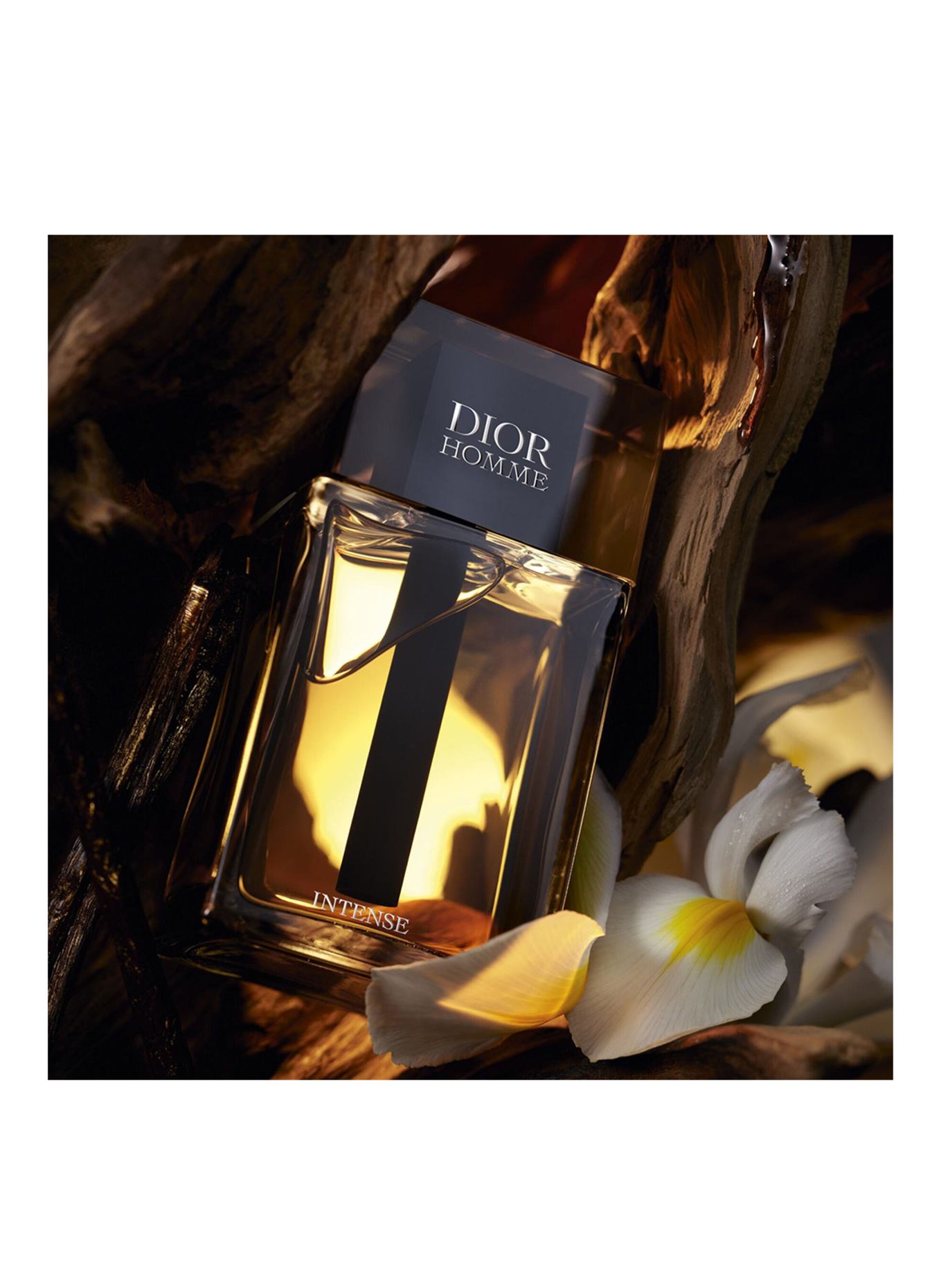 DIOR DIOR HOMME INTENSE