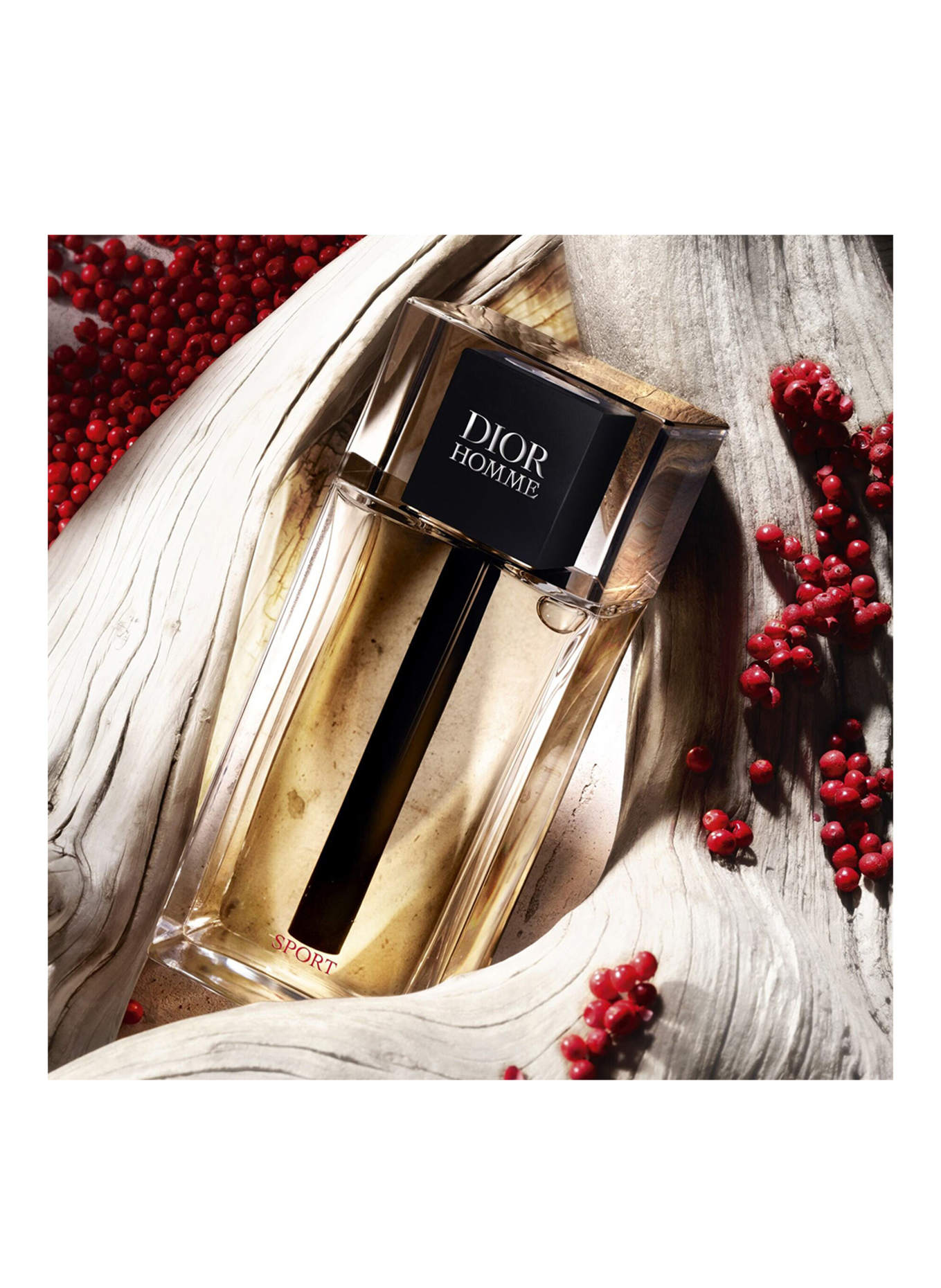 DIOR DIOR HOMME SPORT