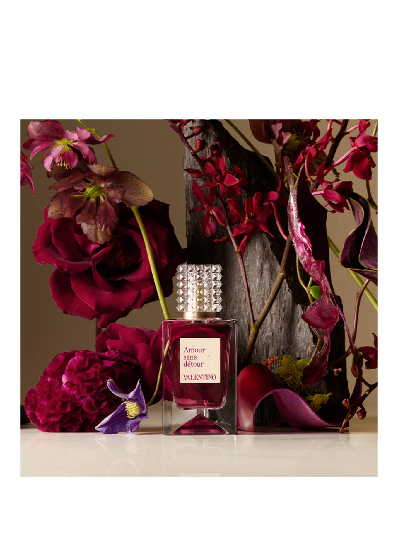 VALENTINO PARFUMS ANATOMIE VAN DROMEN - AMOUR SANS DÉTOUR