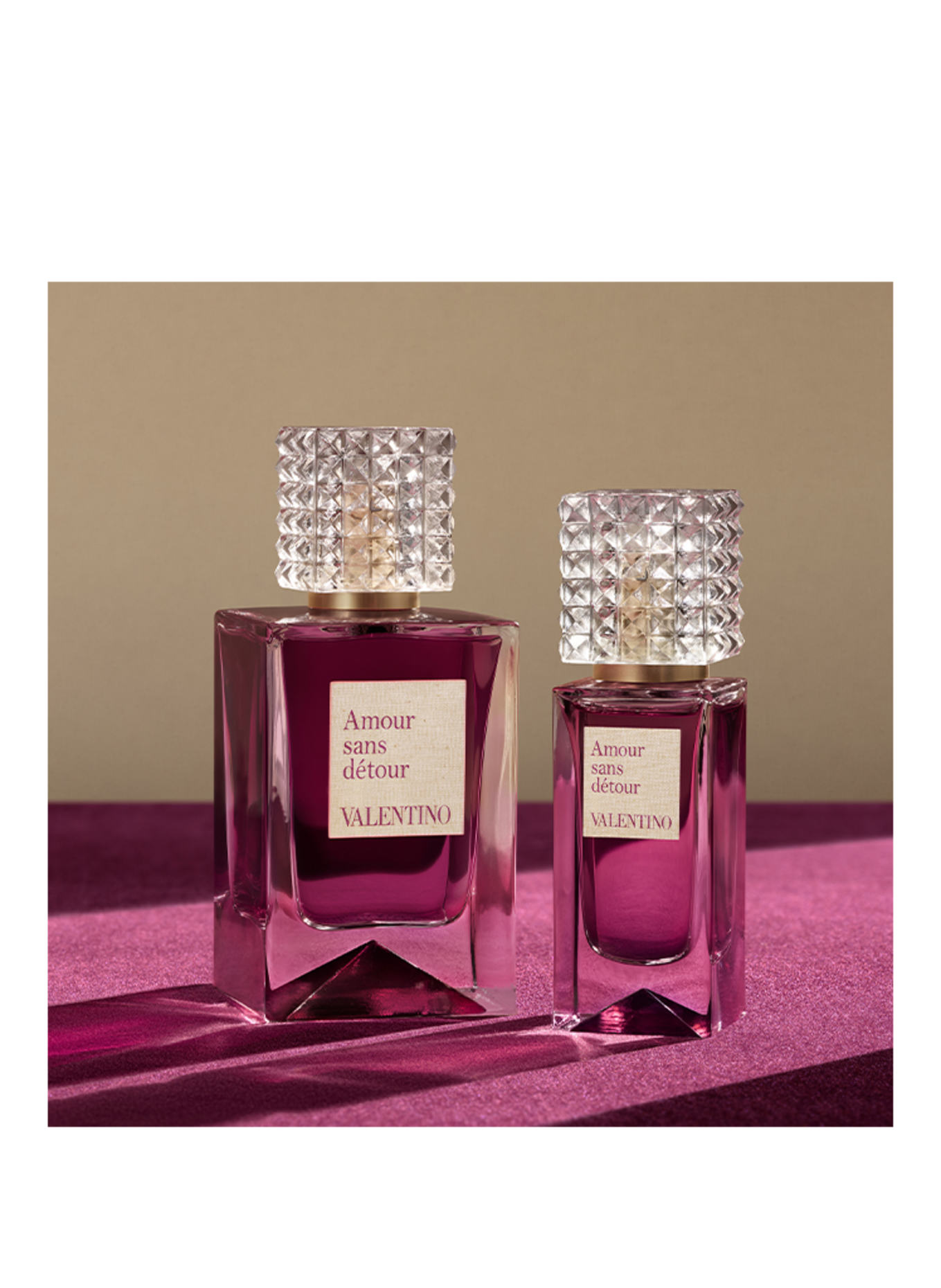 VALENTINO PARFUMS ANATOMIE VAN DROMEN - AMOUR SANS DÉTOUR