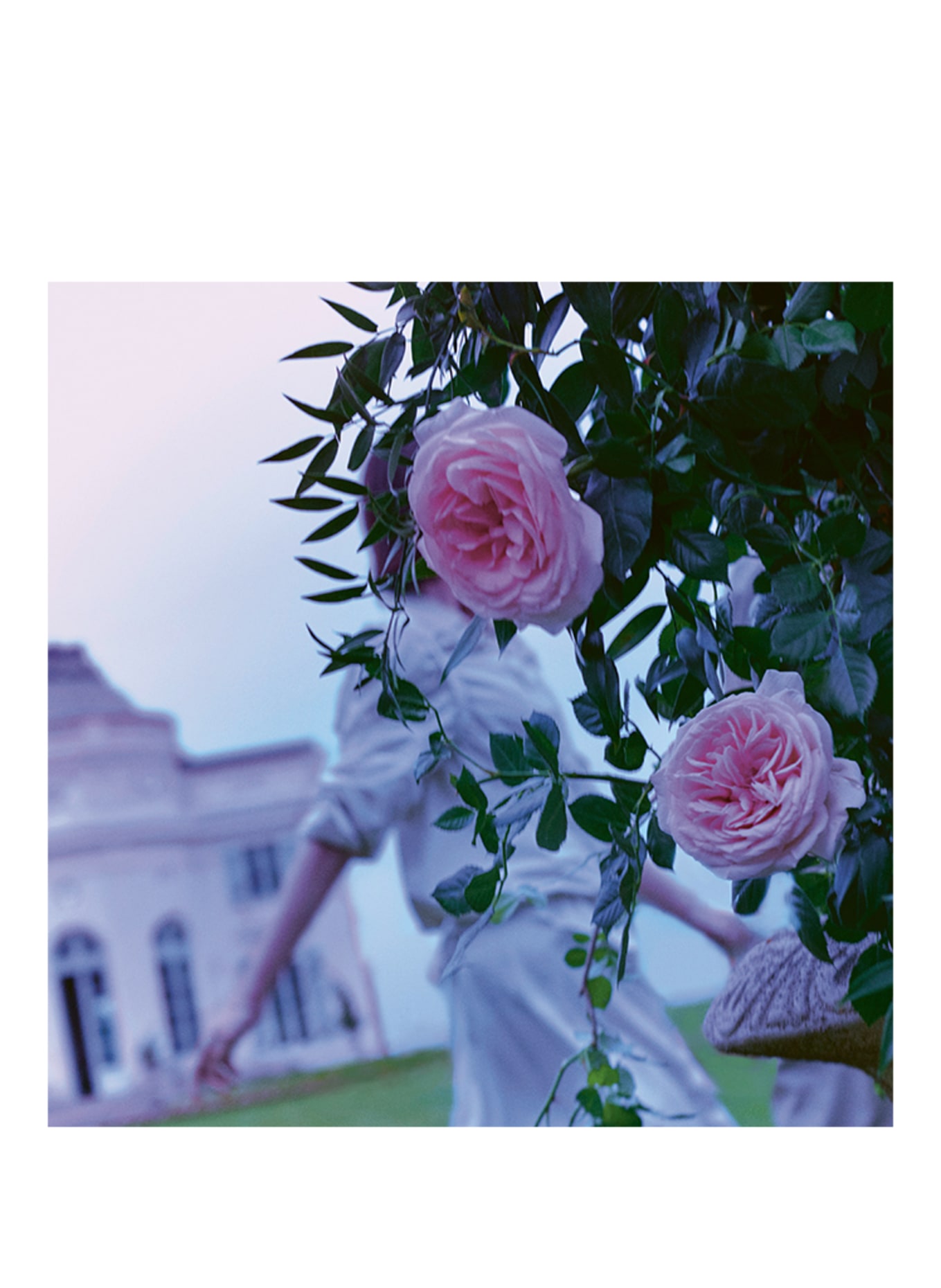 Maison Margiela Fragrances REPLICA UP AT DAWN