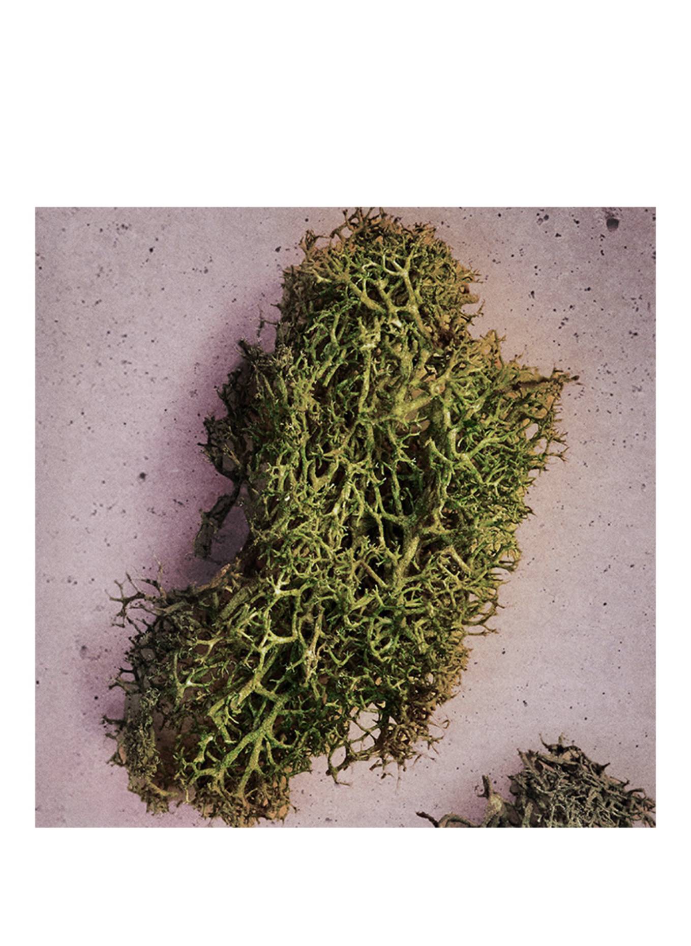 Maison Margiela Fragrances REPLICA UP AT DAWN