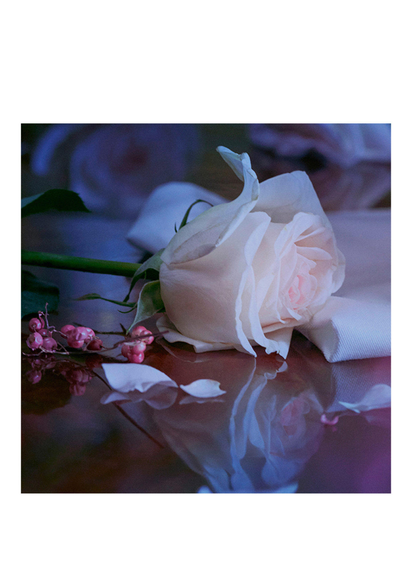 Maison Margiela Fragrances REPLICA UP AT DAWN