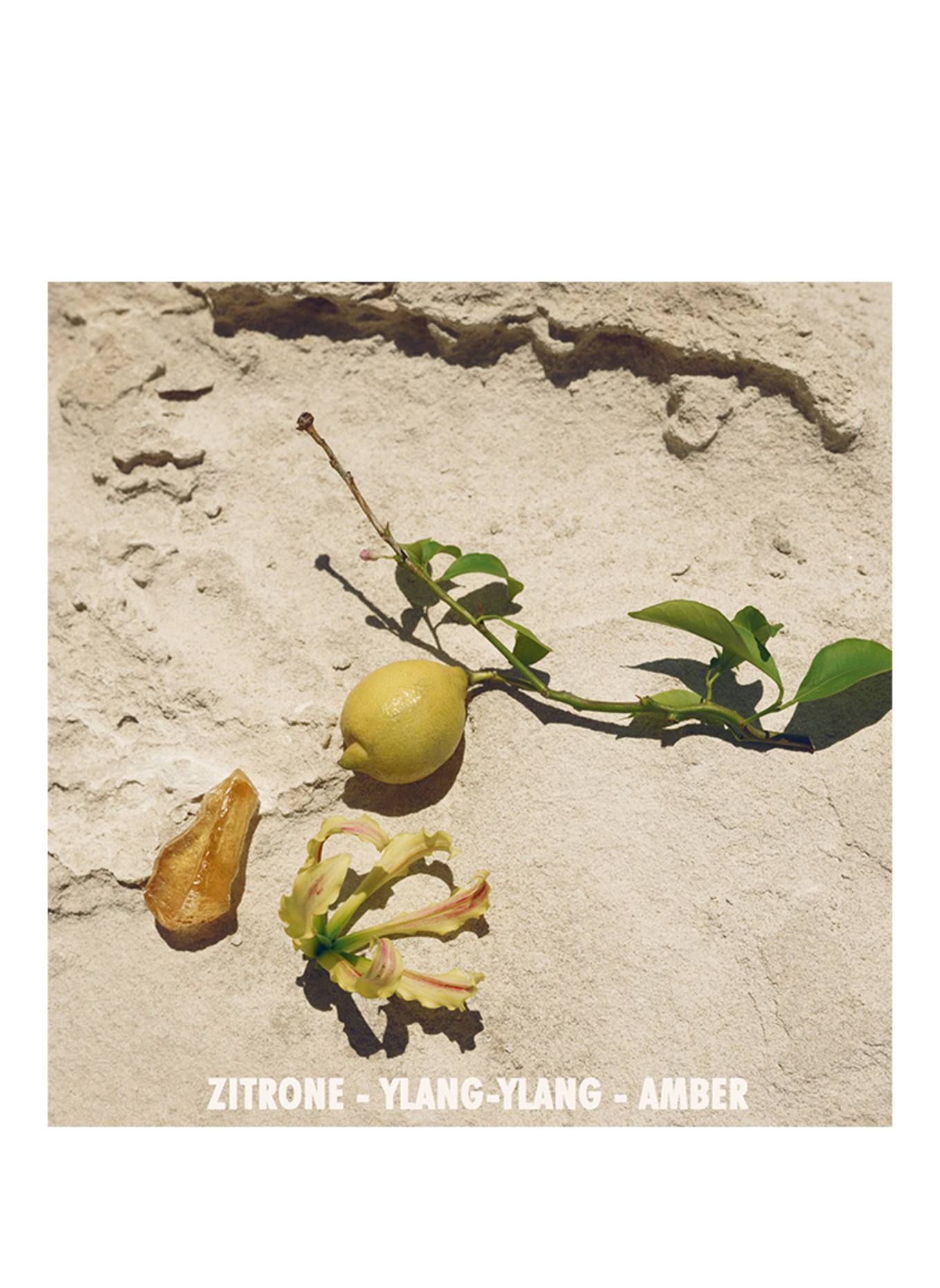 JIL SANDER Fragrances SUN