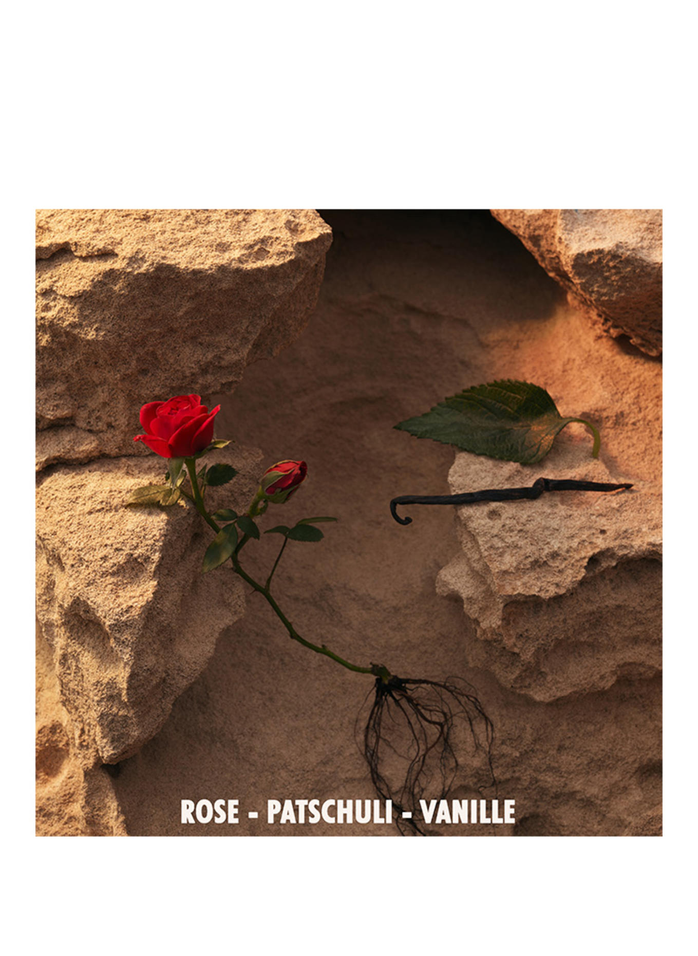 JIL SANDER Fragrances SUNSET