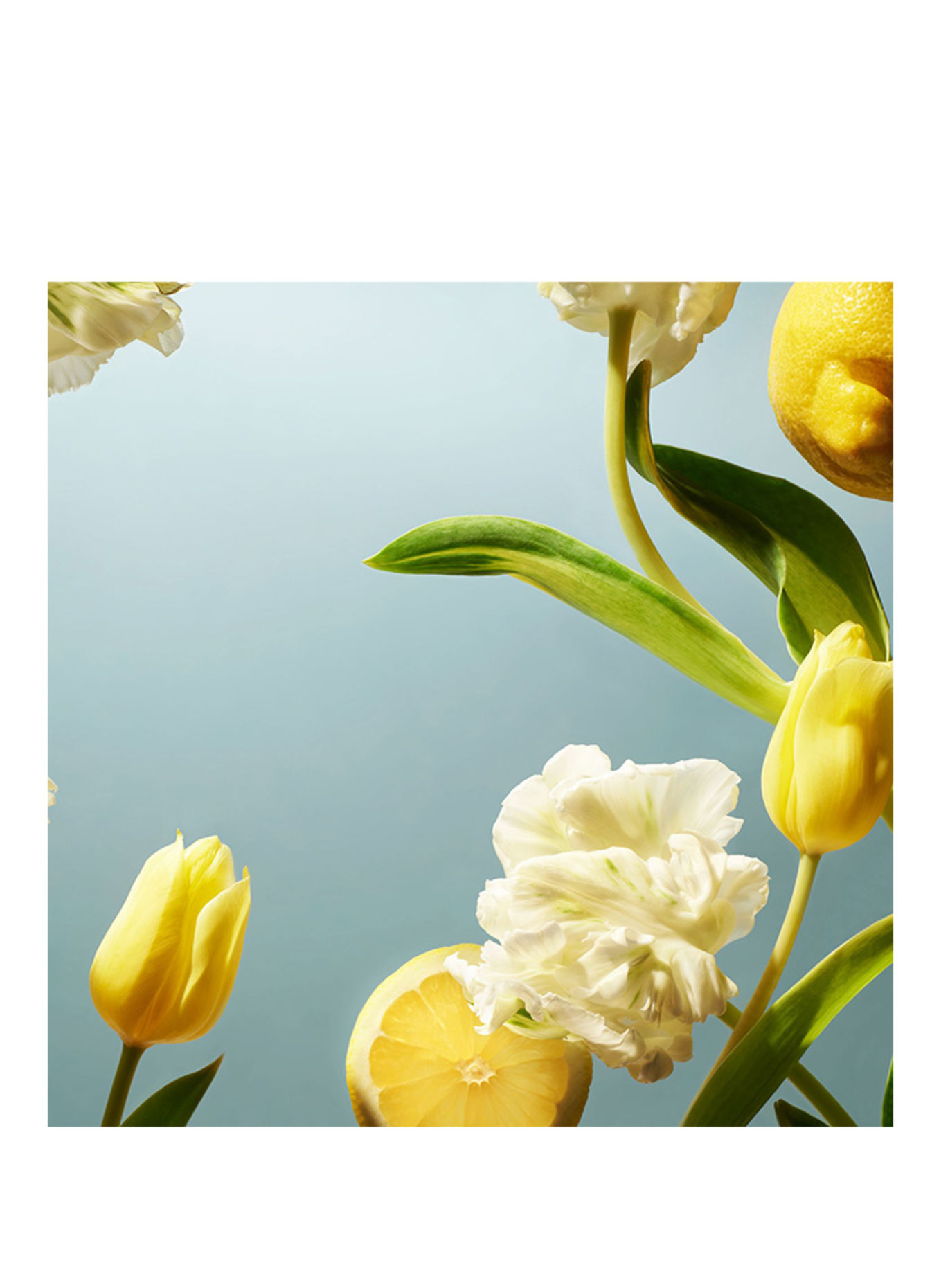 RITUALS AMSTERDAM COLLECTIE