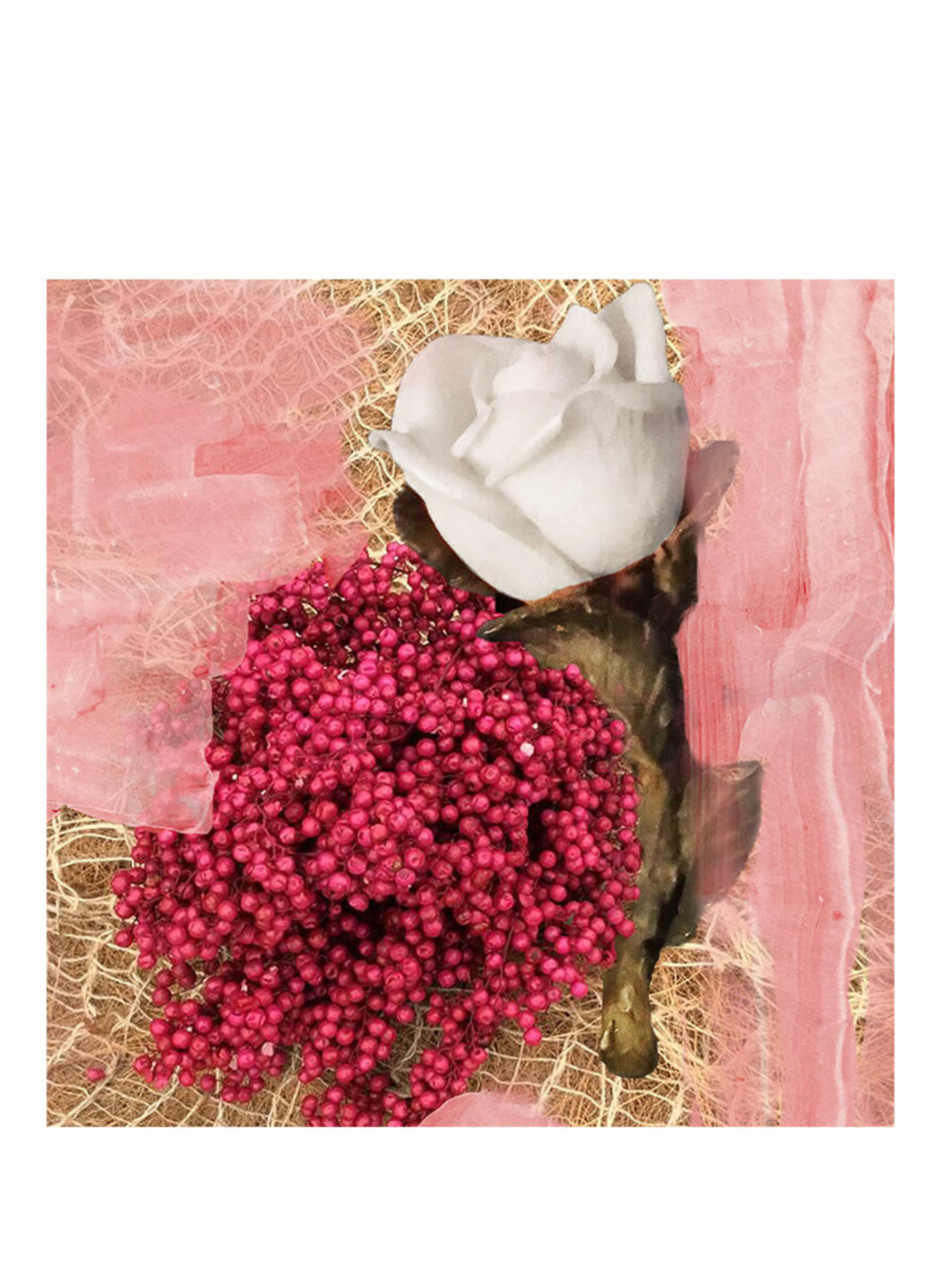 BYREDO Rose des champs