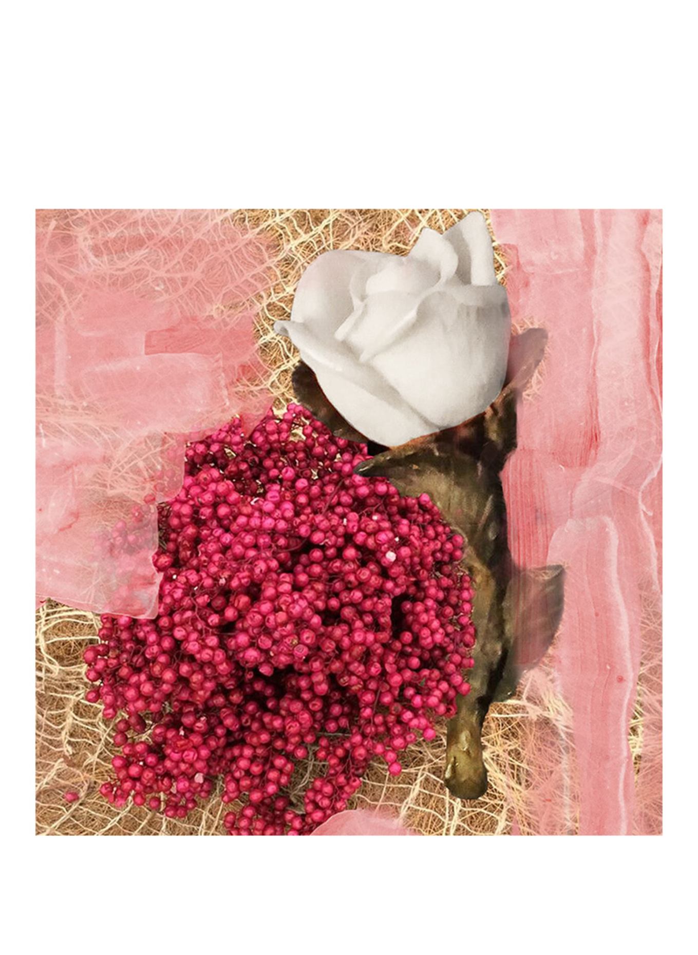 BYREDO ROSE OF NO MAN'S LAND