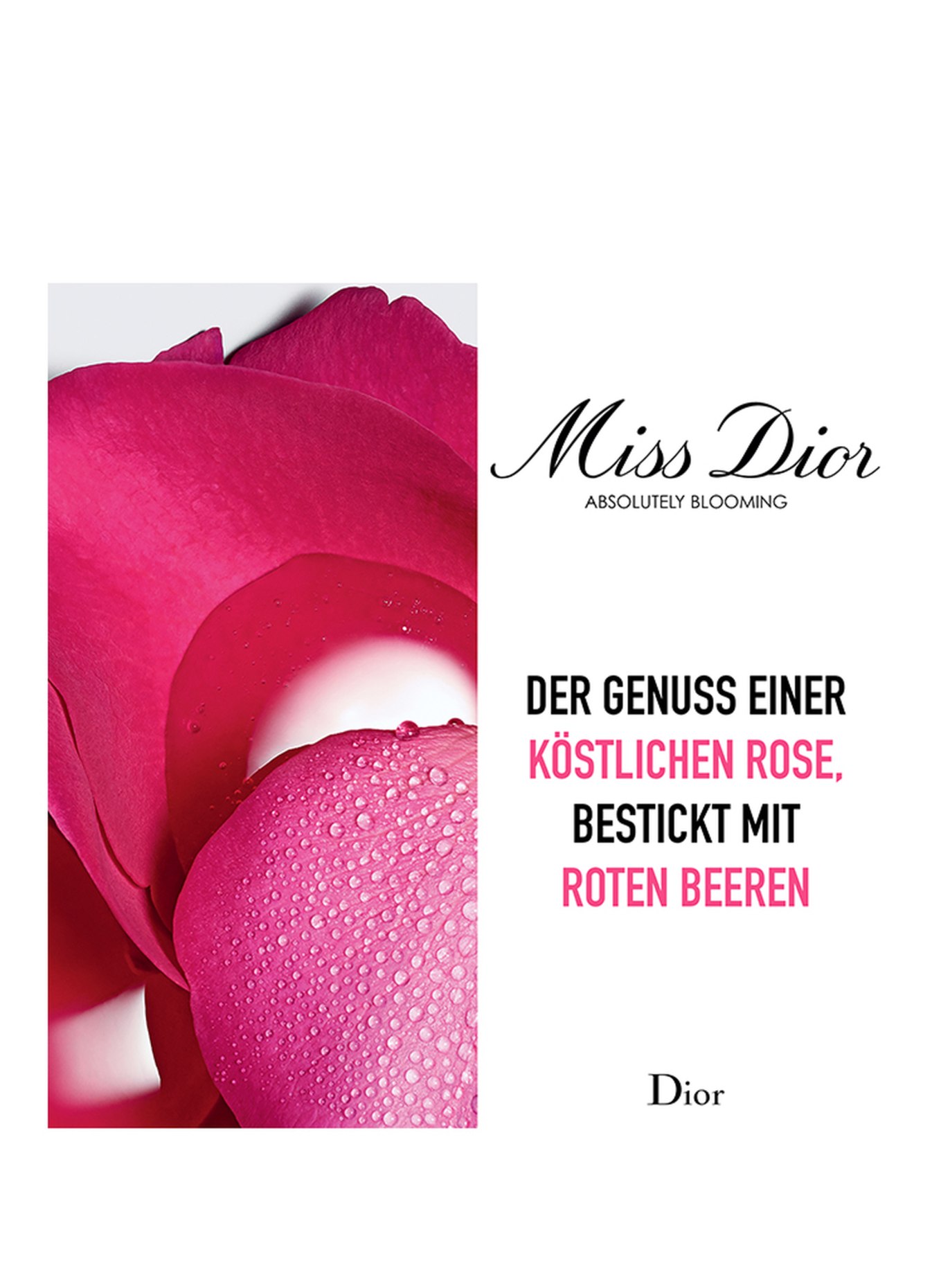 DIOR MISS DIOR ABSOLUTELY BLOOMING (Bild 3)
