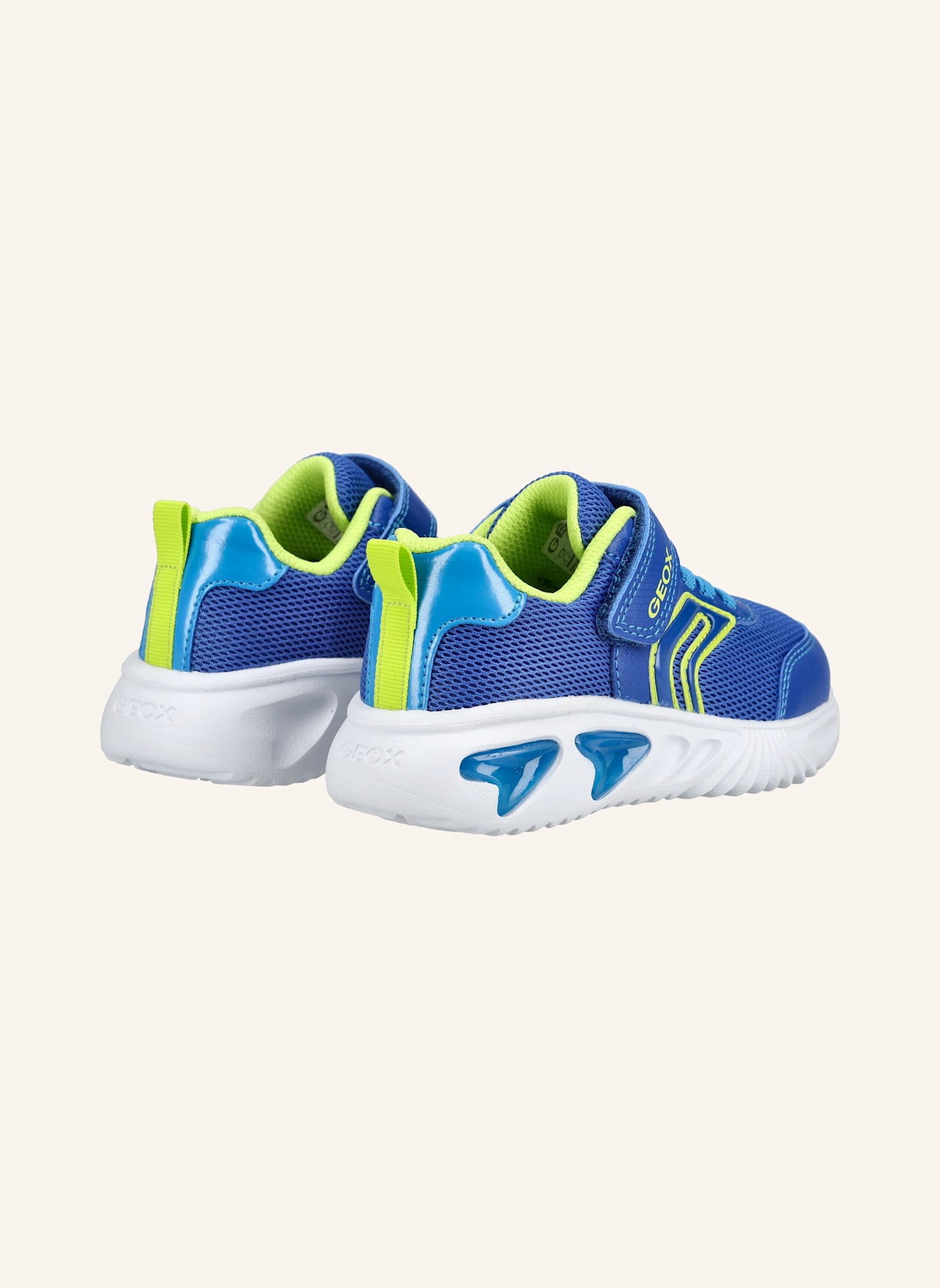 GEOX Sneaker ASSISTER: BLAU