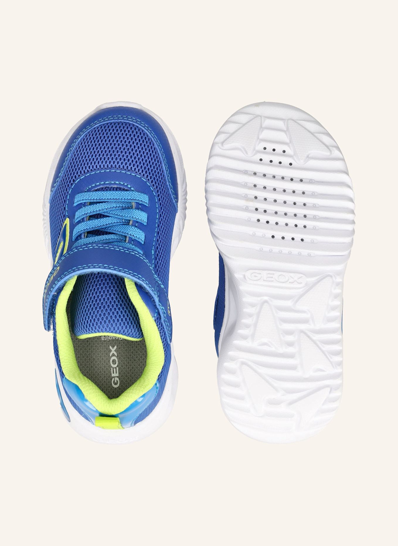 GEOX Sneaker ASSISTER: BLAU