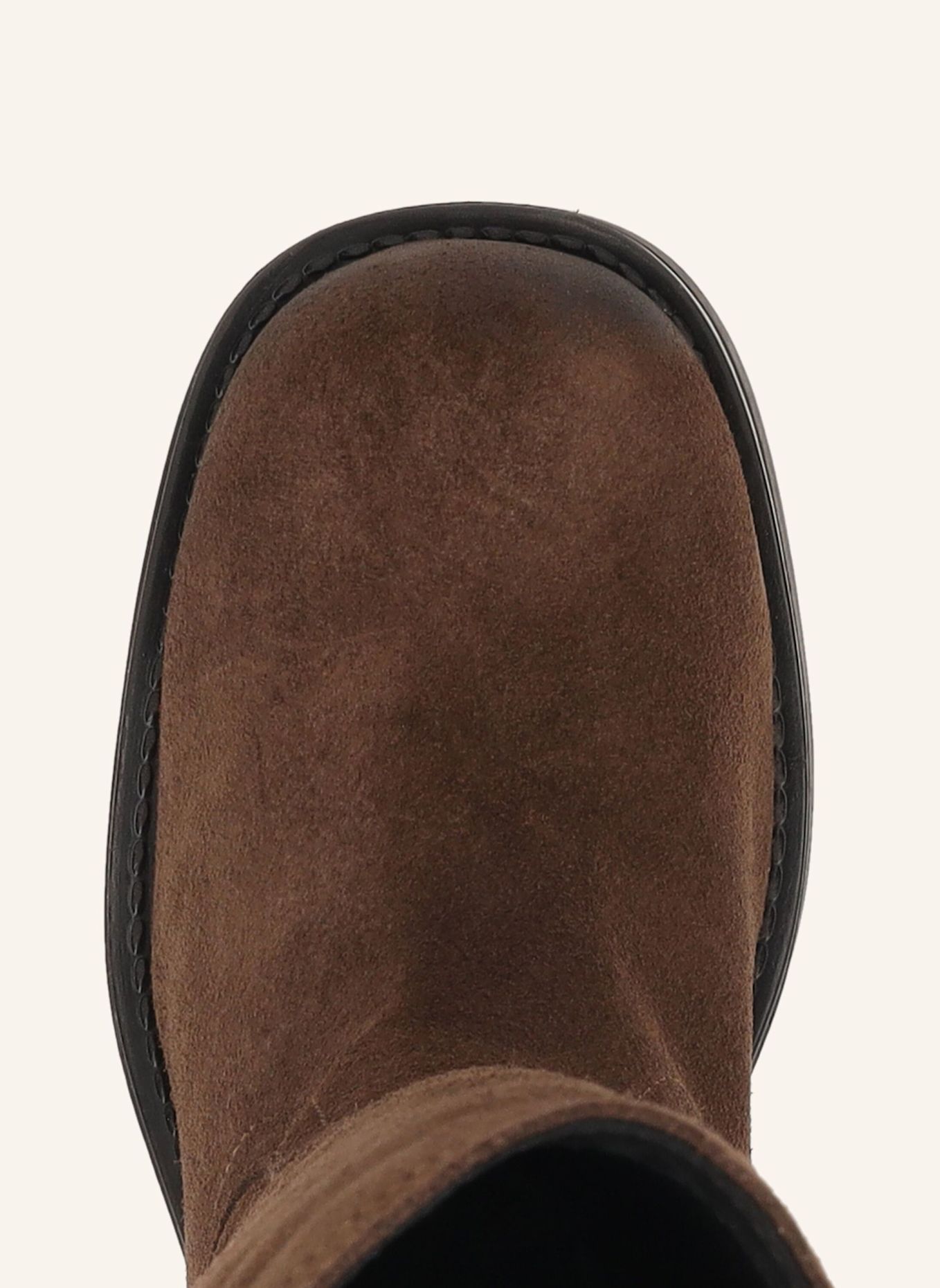 PAVEMENT Stiefel ANNELI SUEDE: BRAUN