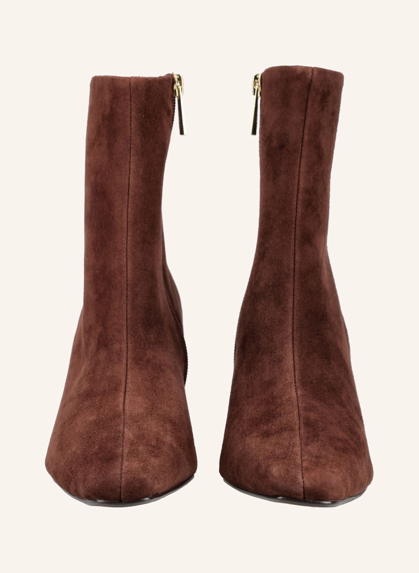 STEVE MADDEN Laarsjes WILLAH: BRUIN