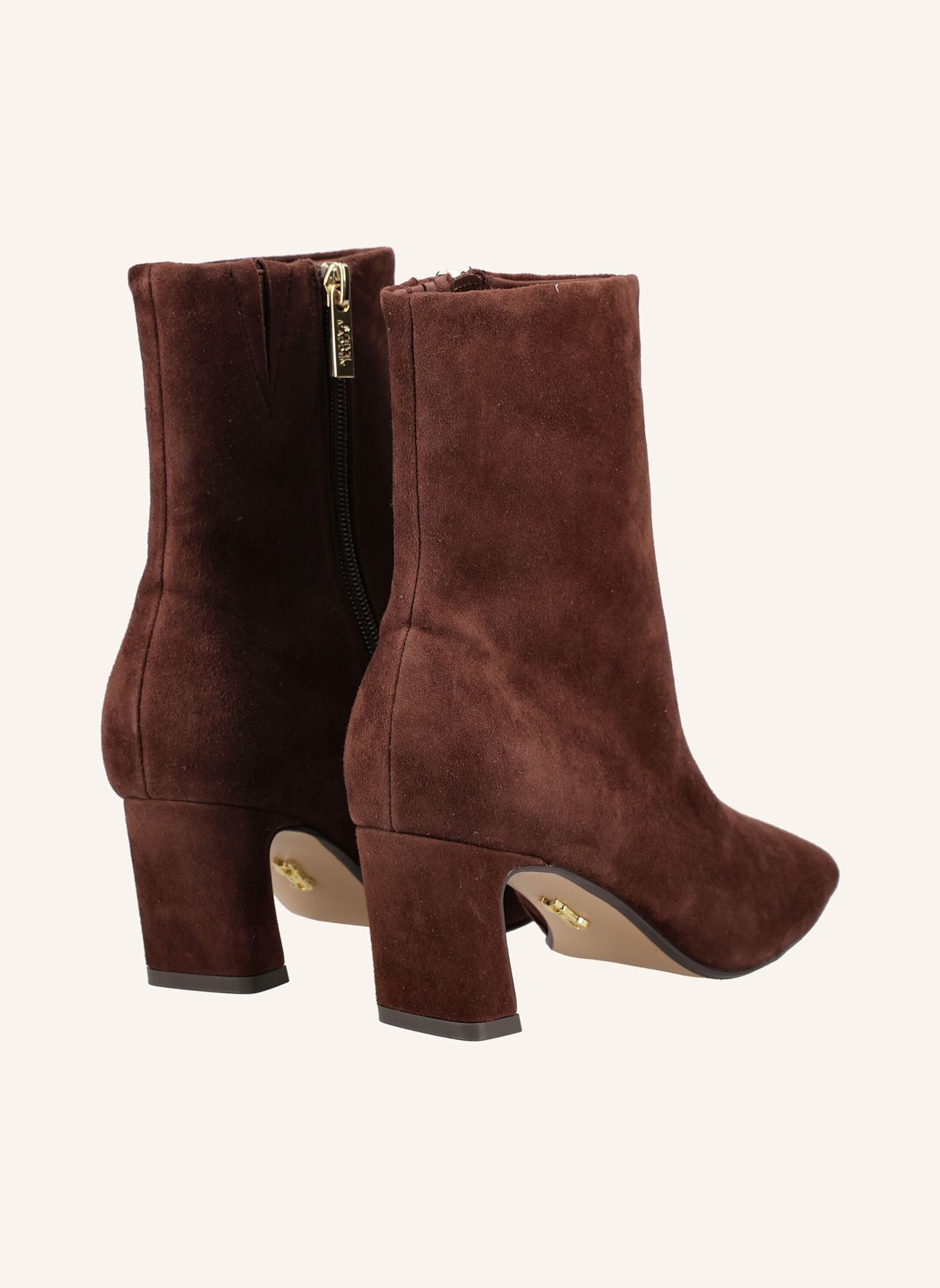 STEVE MADDEN Laarsjes WILLAH: BRUIN