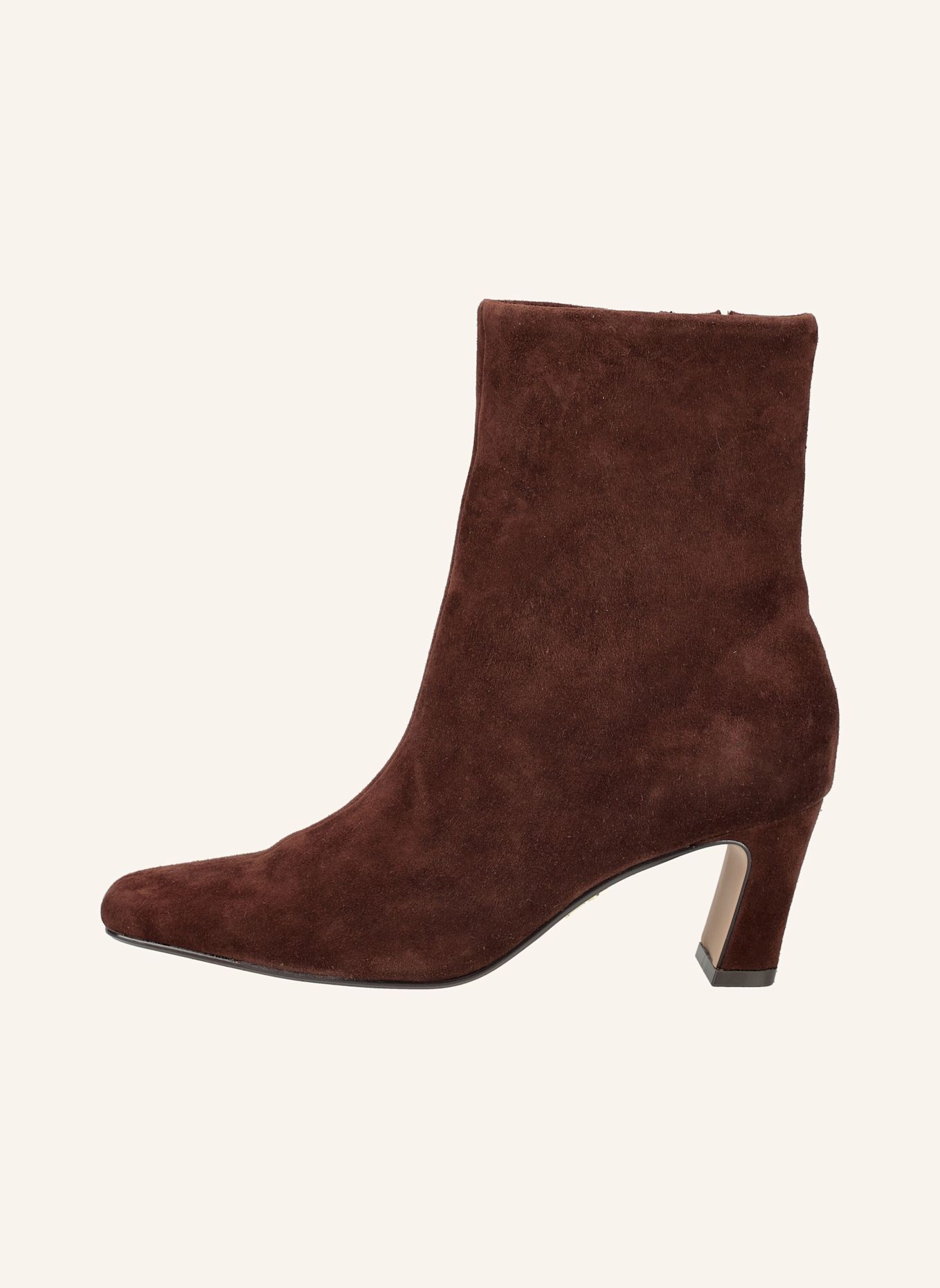 STEVE MADDEN Laarsjes WILLAH: BRUIN