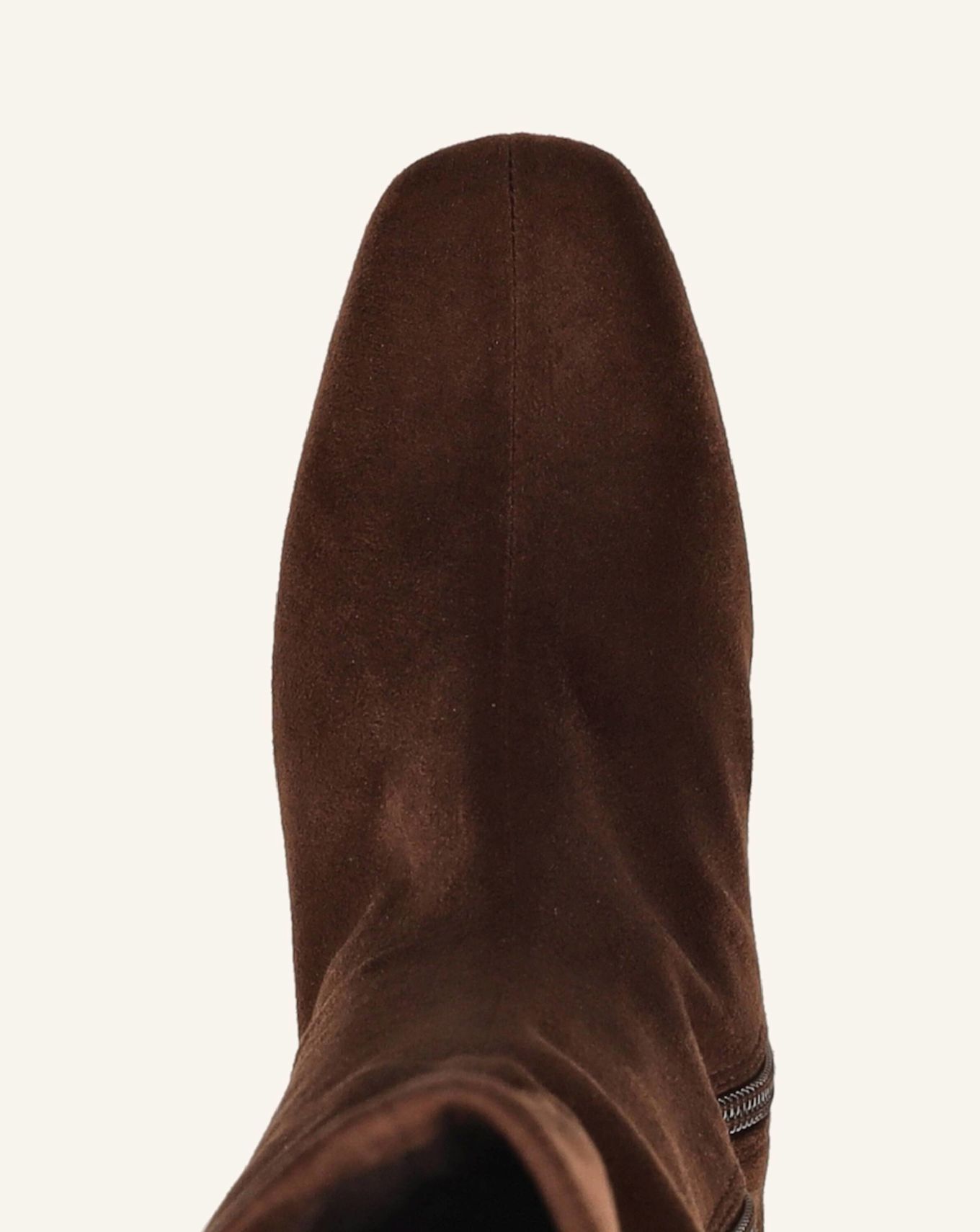 STEVE MADDEN Stiefel HOLLY: BRAUN
