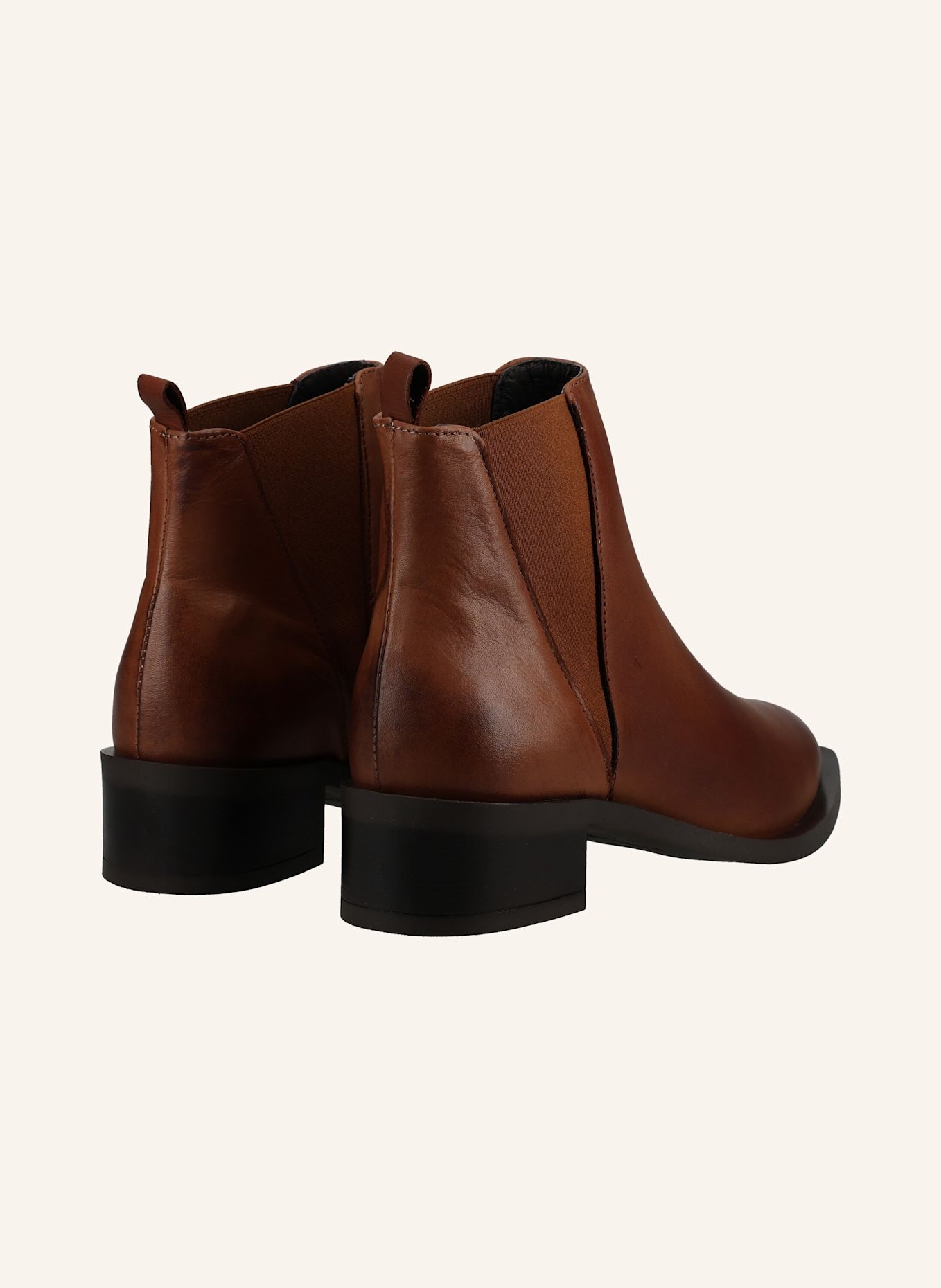 PAVEMENT Stiefelette ASHANTI 1: BRAUN