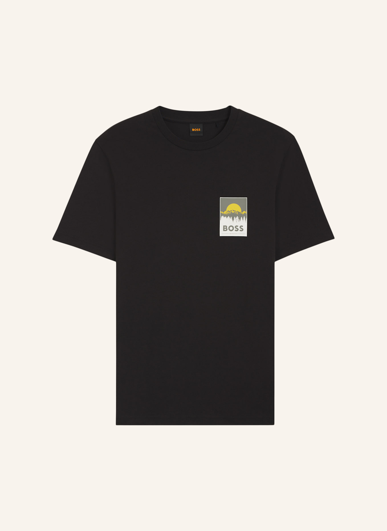BOSS T-Shirt TE_PLAIN Regular Fit: SCHWARZ