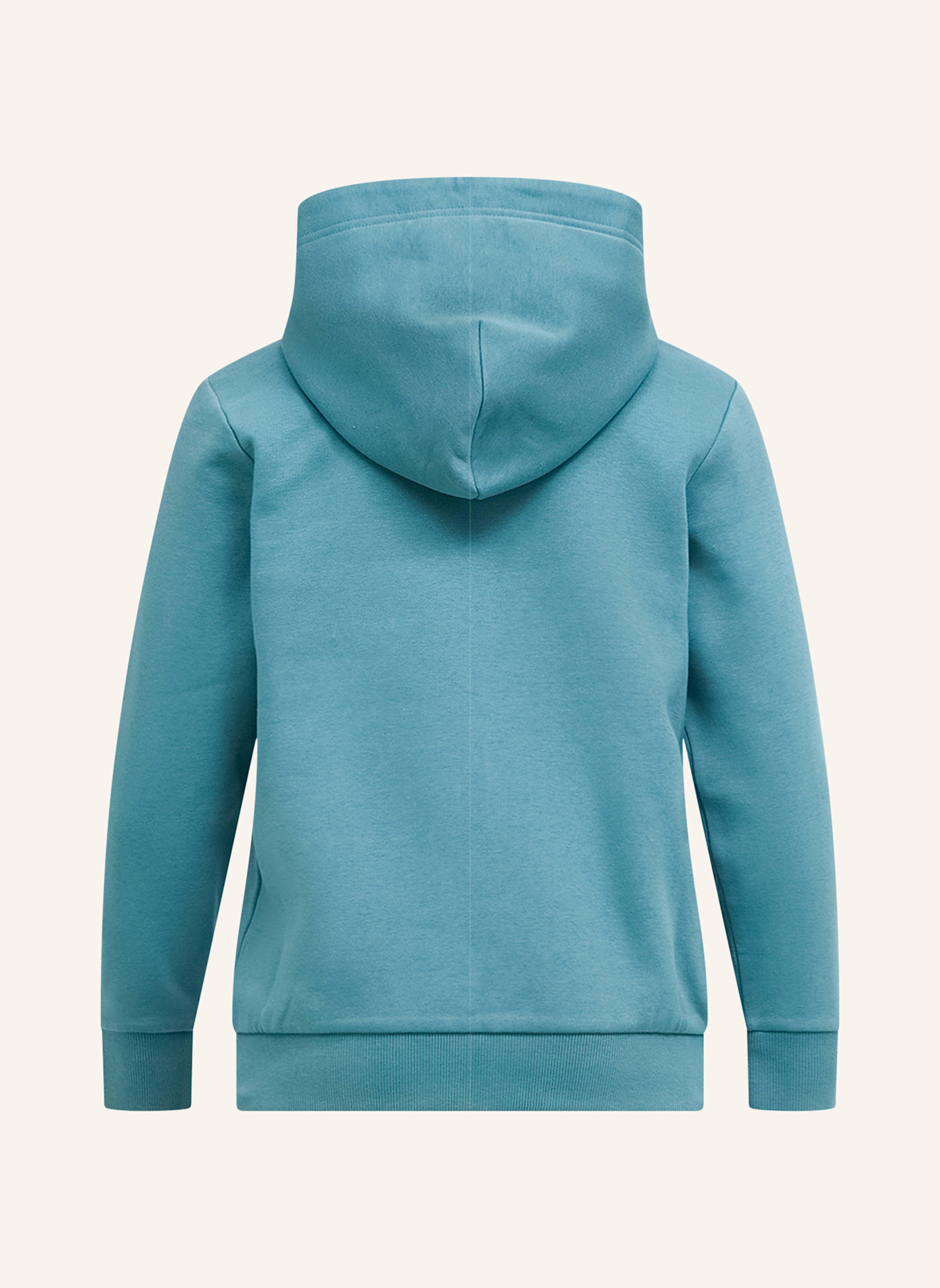 Peak Performance Kapuzensweatshirt: TÜRKIS