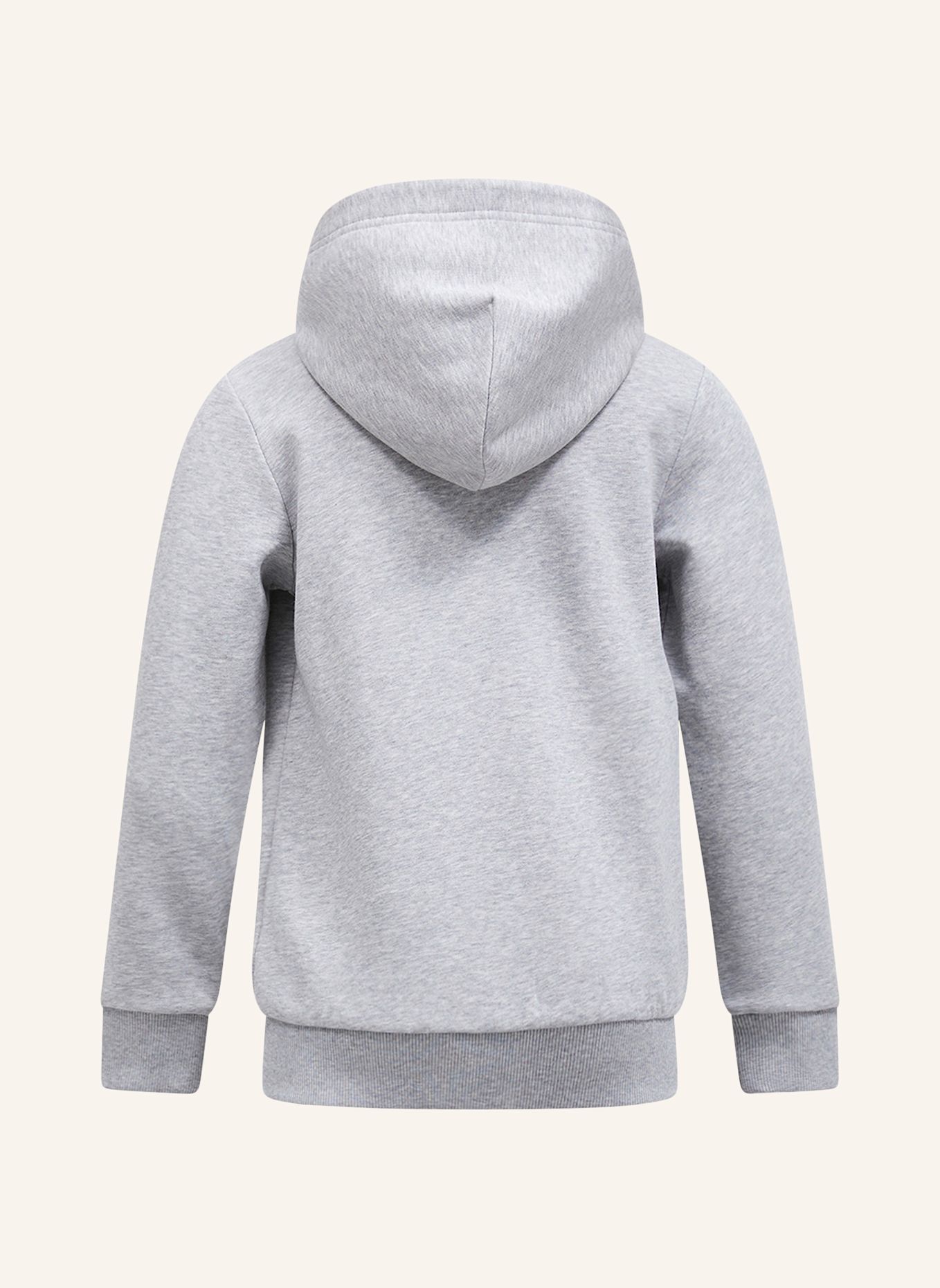 Peak Performance Kapuzensweatshirt: GRAU