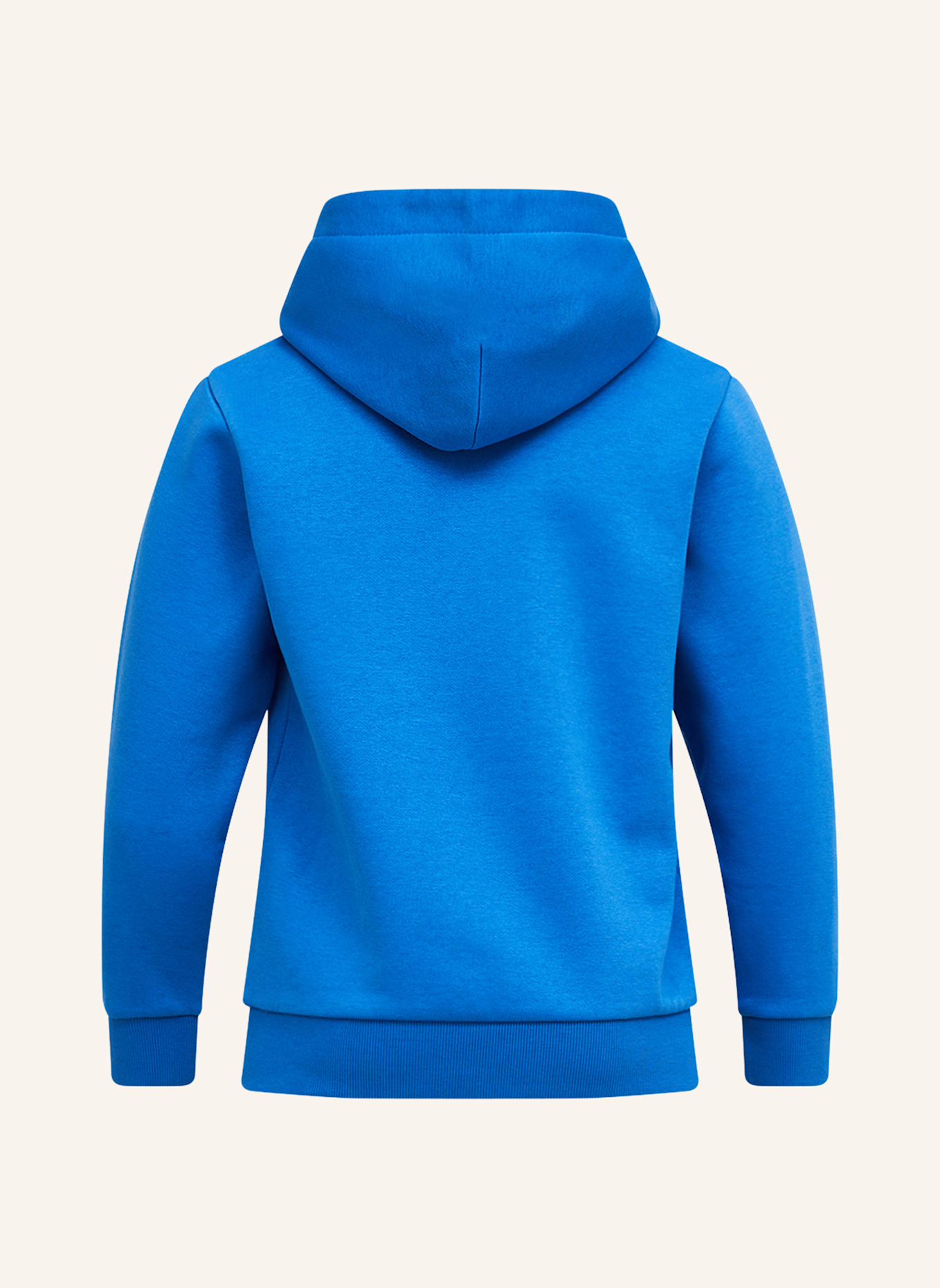 Peak Performance Kapuzensweatshirt: BLAU