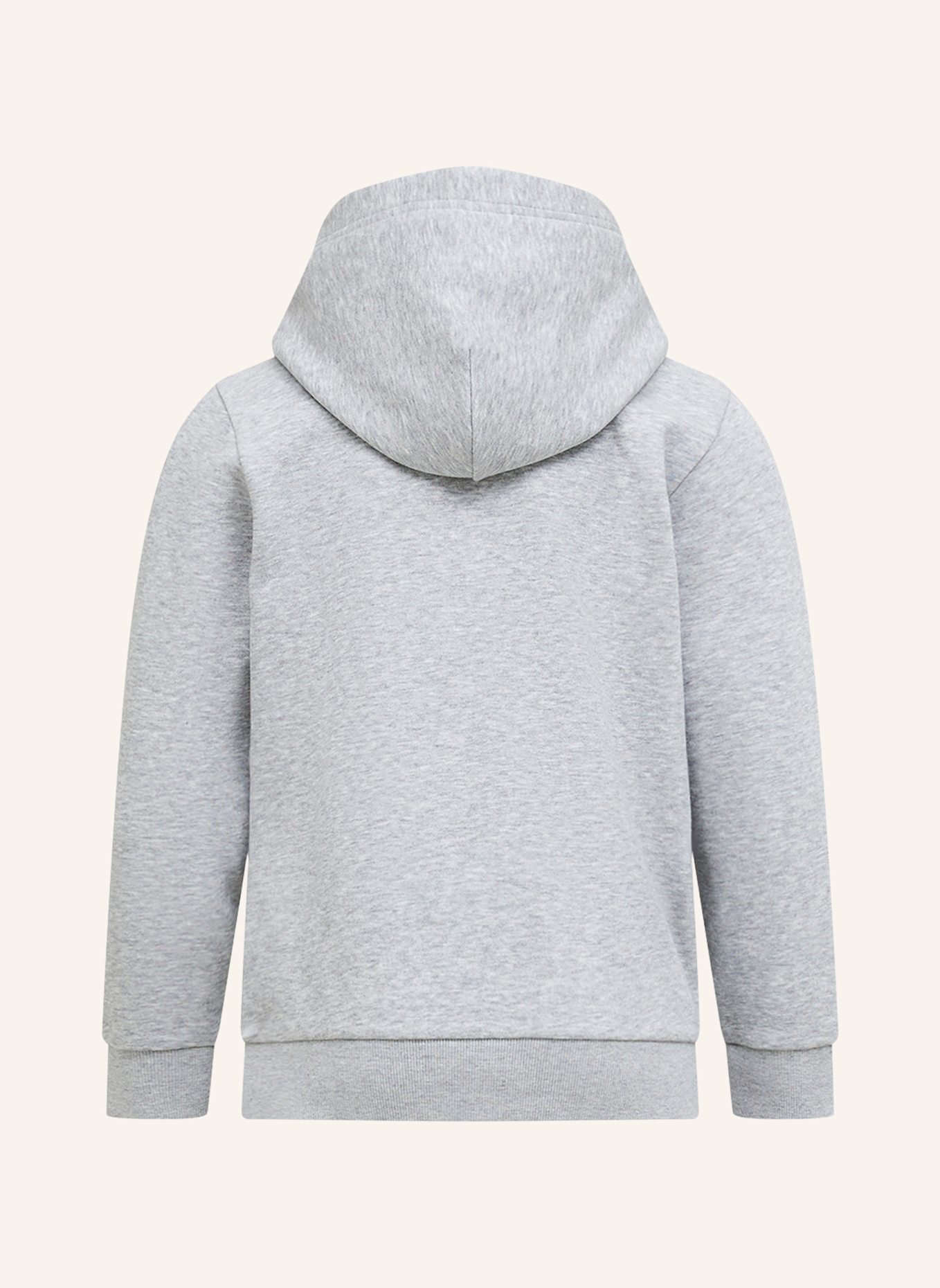 Peak Performance Kapuzensweatshirt: GRAU