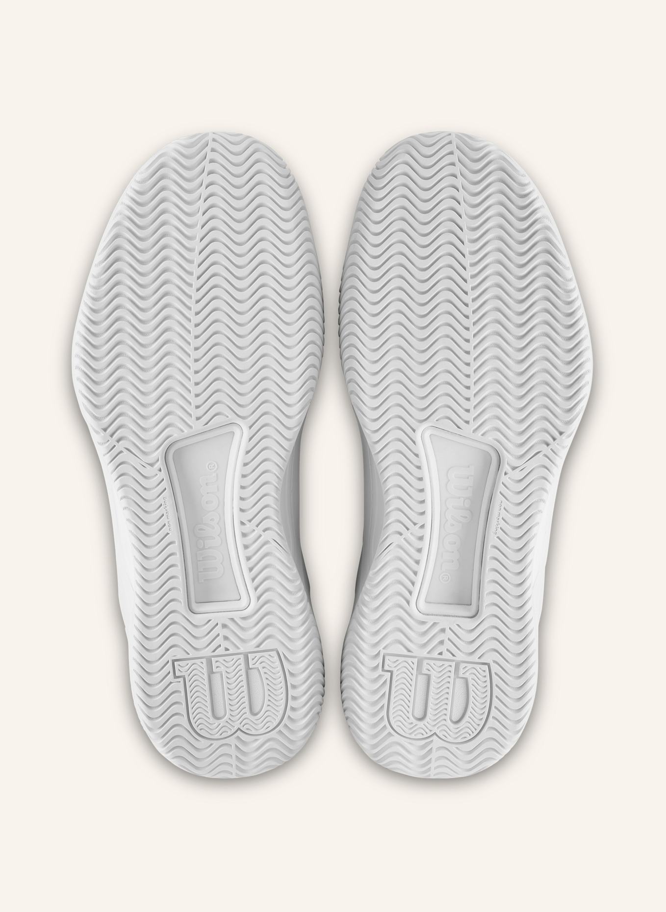 Wilson Intrigue Tour Tennisschuh: SILBER/ WEISS