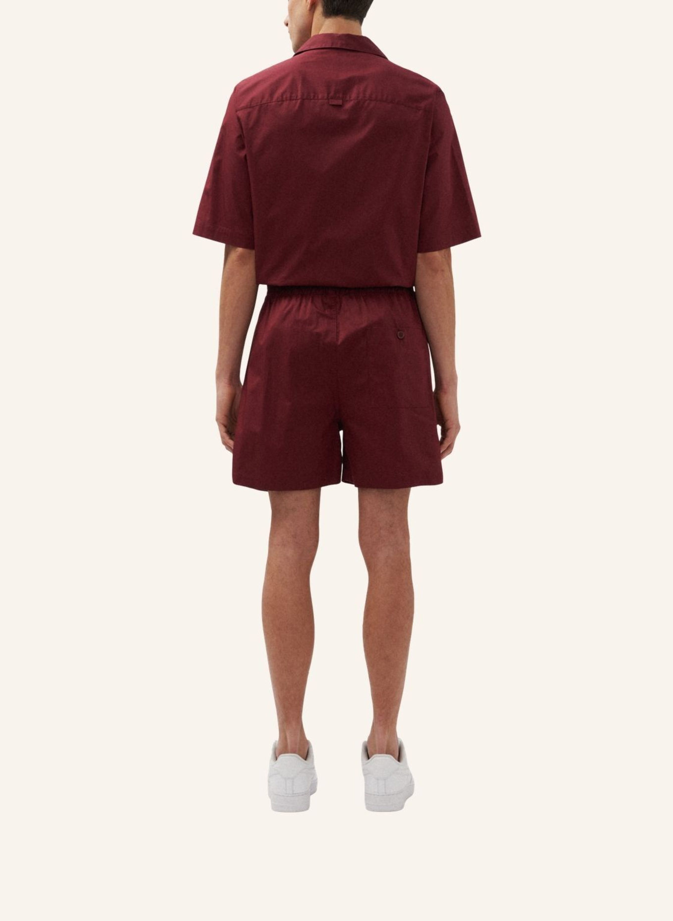 studio seidensticker Shorts, Regular-Fit Chino Shorts: RED