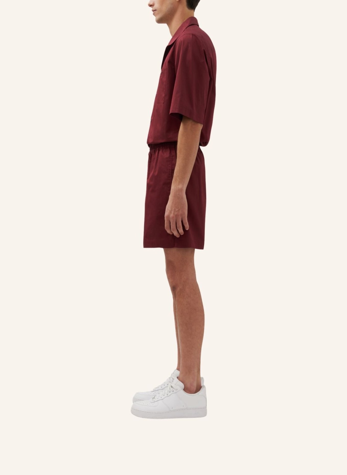studio seidensticker Shorts, Regular-Fit Chino Shorts: RED