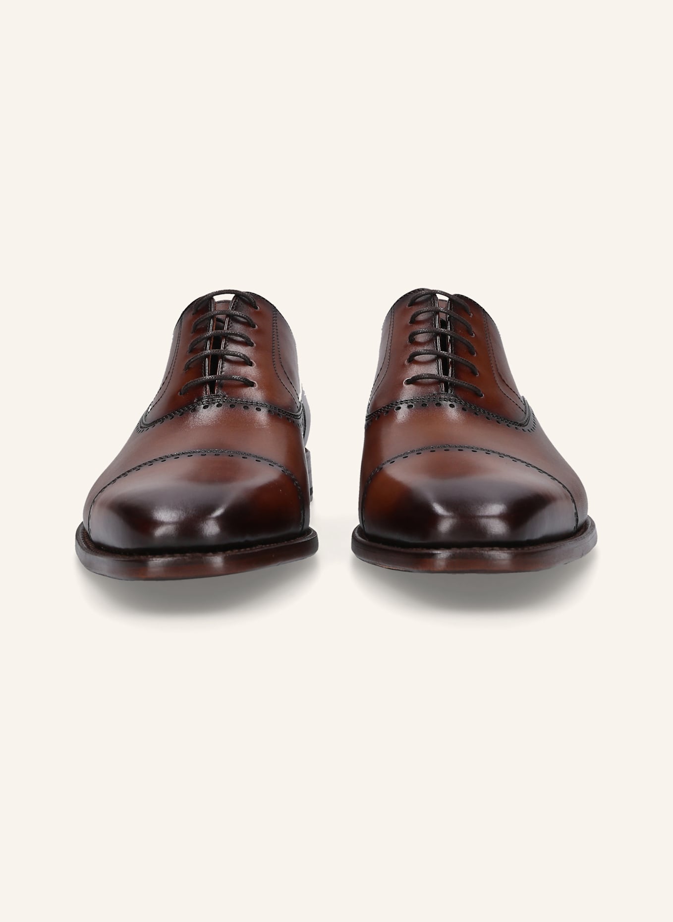 Henry Stevens Schnürer LIAM CO: BRAUN