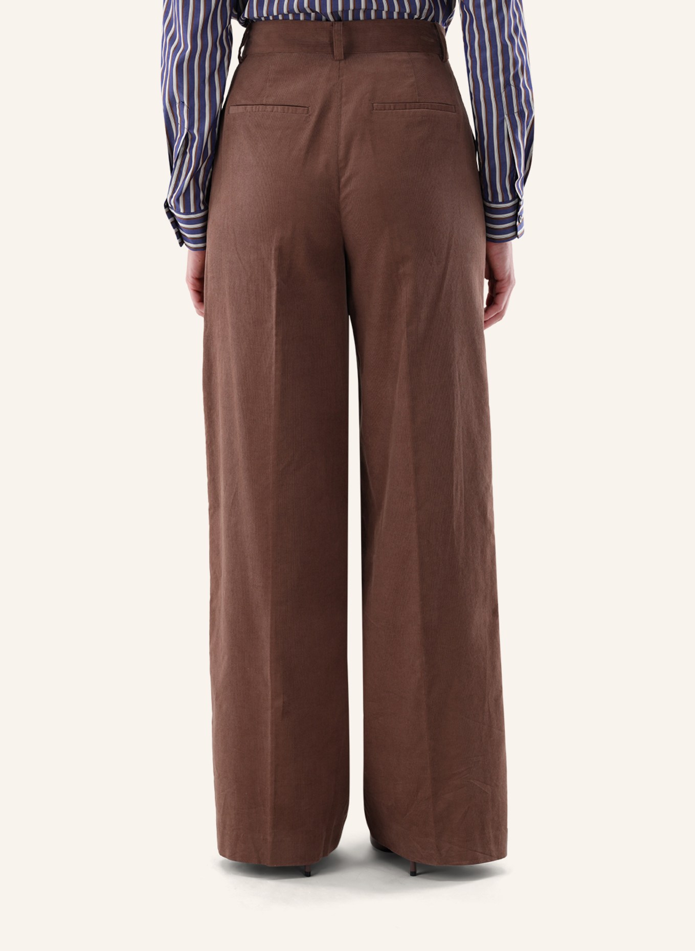 van Laack Modern Fit Pants: BEIGE/ BROWN