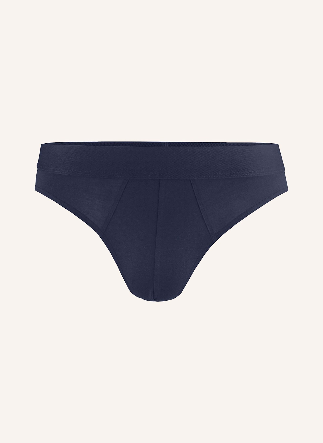 hessnatur Slip Regular Cut: BLAU