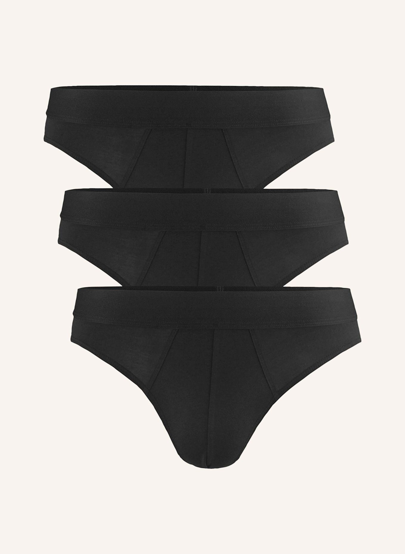 hessnatur Slip Regular Cut 3er-Pack: SCHWARZ