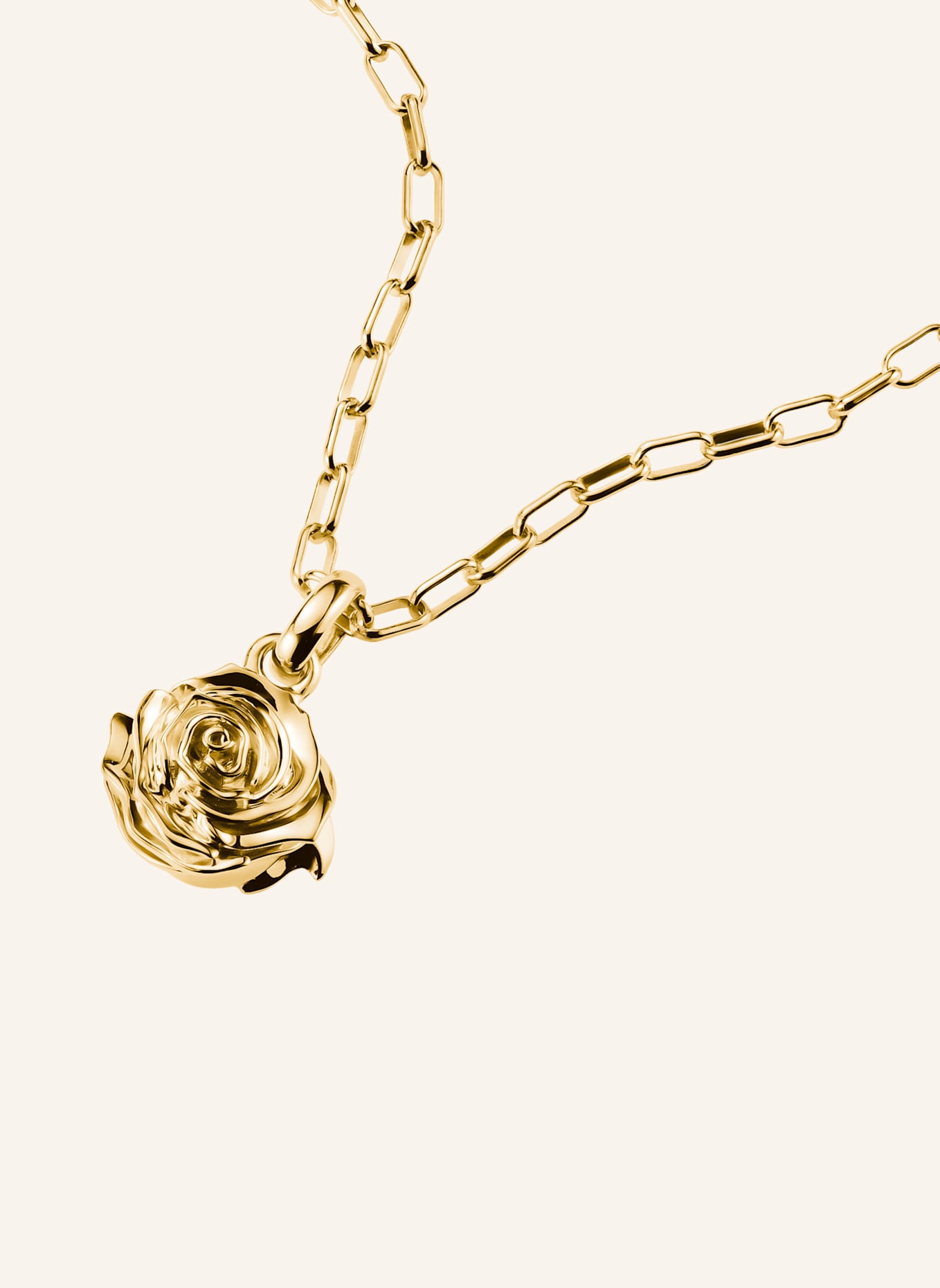 THOMAS SABO Charm-Anhänger: GOLD