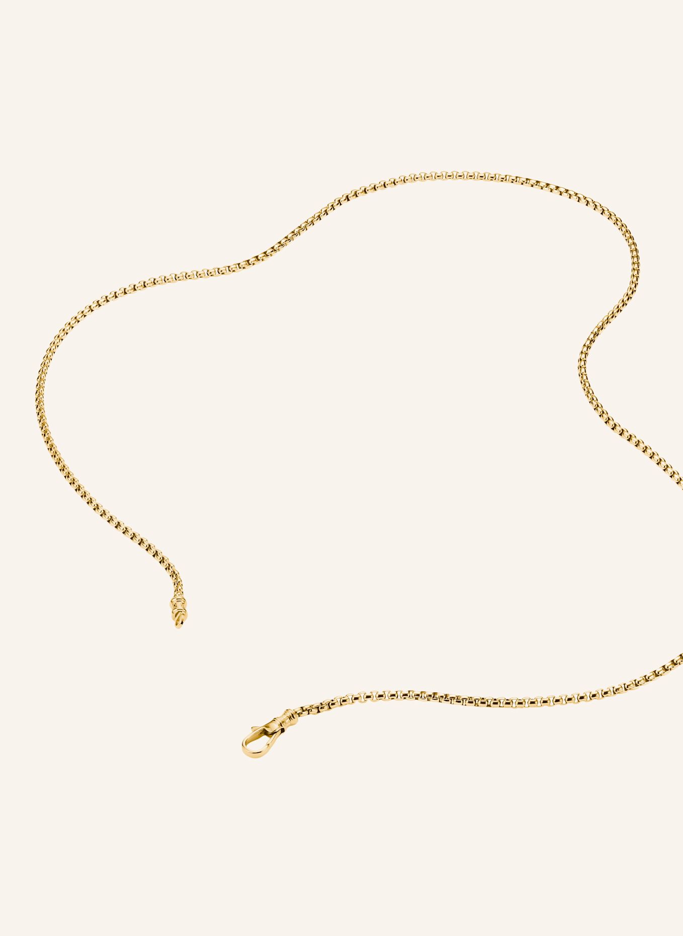 THOMAS SABO Kette: GOLD