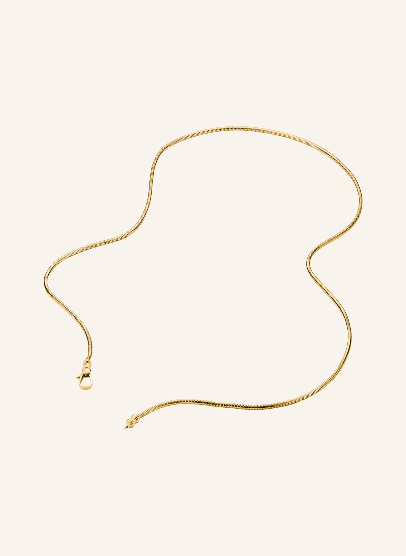 THOMAS SABO Kette: GOLD