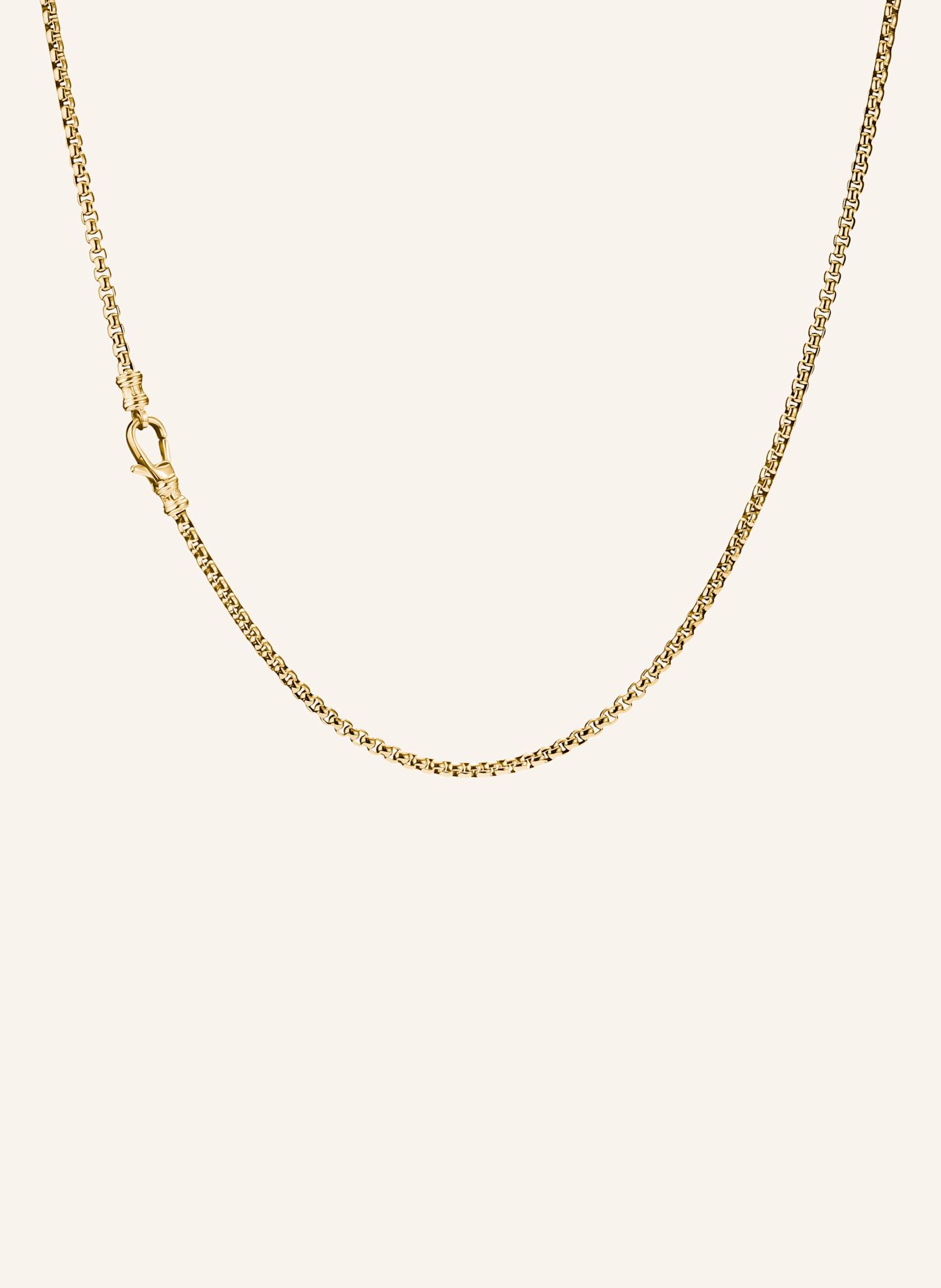 THOMAS SABO Kette: GOLD