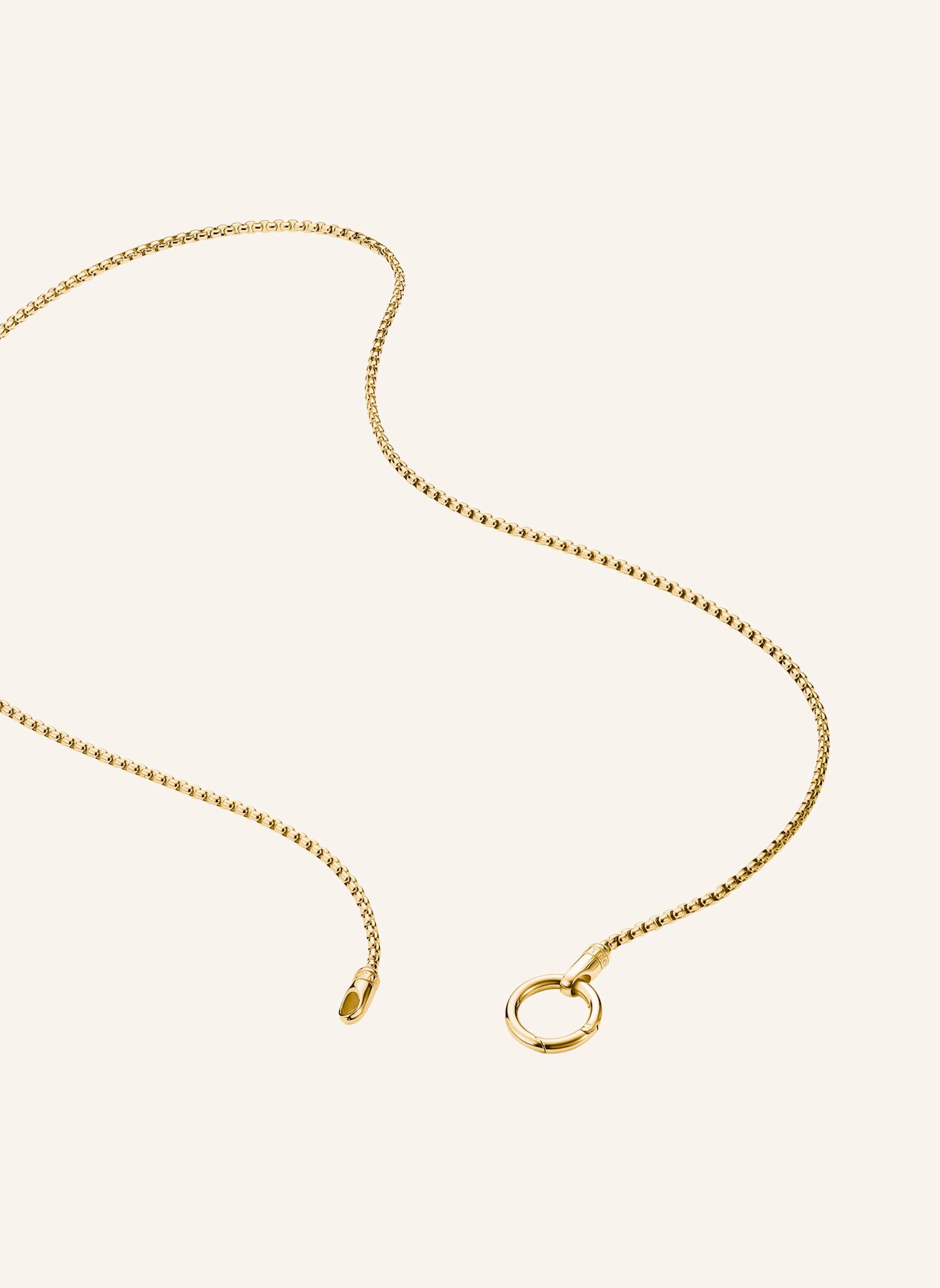 THOMAS SABO Kette: GOLD