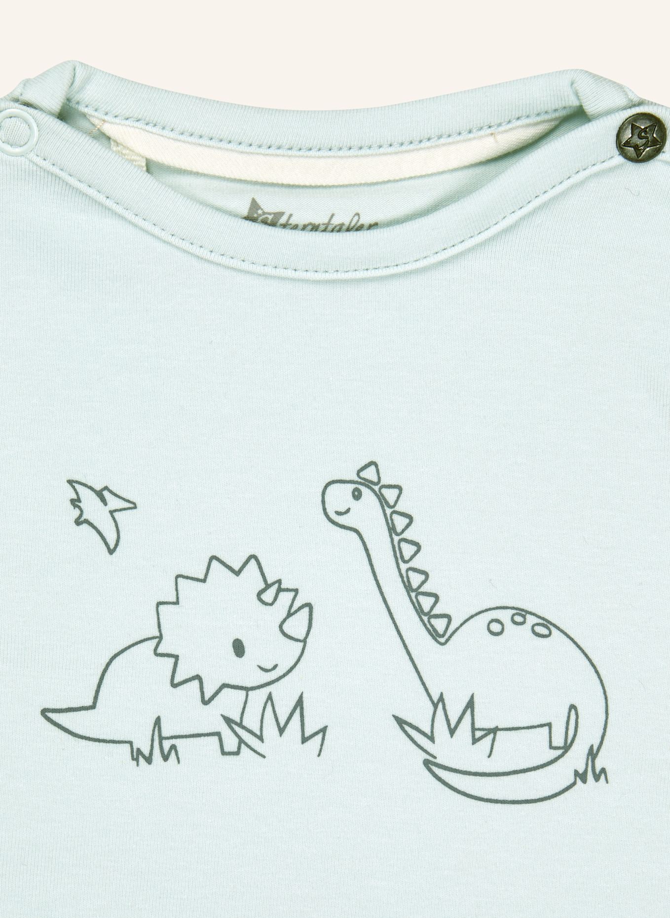 Sterntaler Langarmshirt Rexi: TÜRKIS