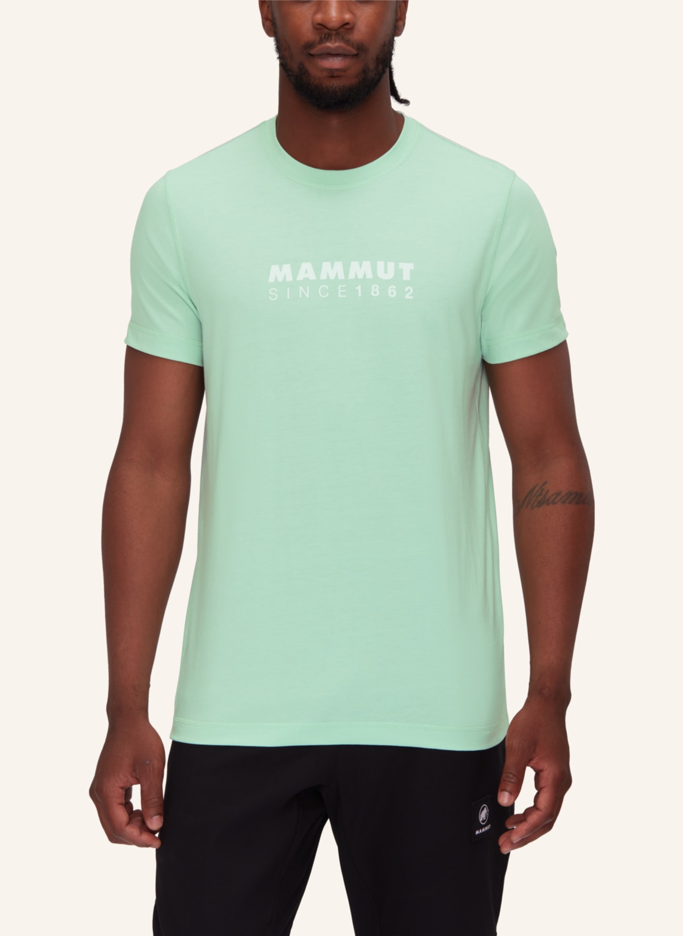 MAMMUT Mammut Mammut Core T-Shirt Men Logo, Farbe: GRÜN (Bild 4)