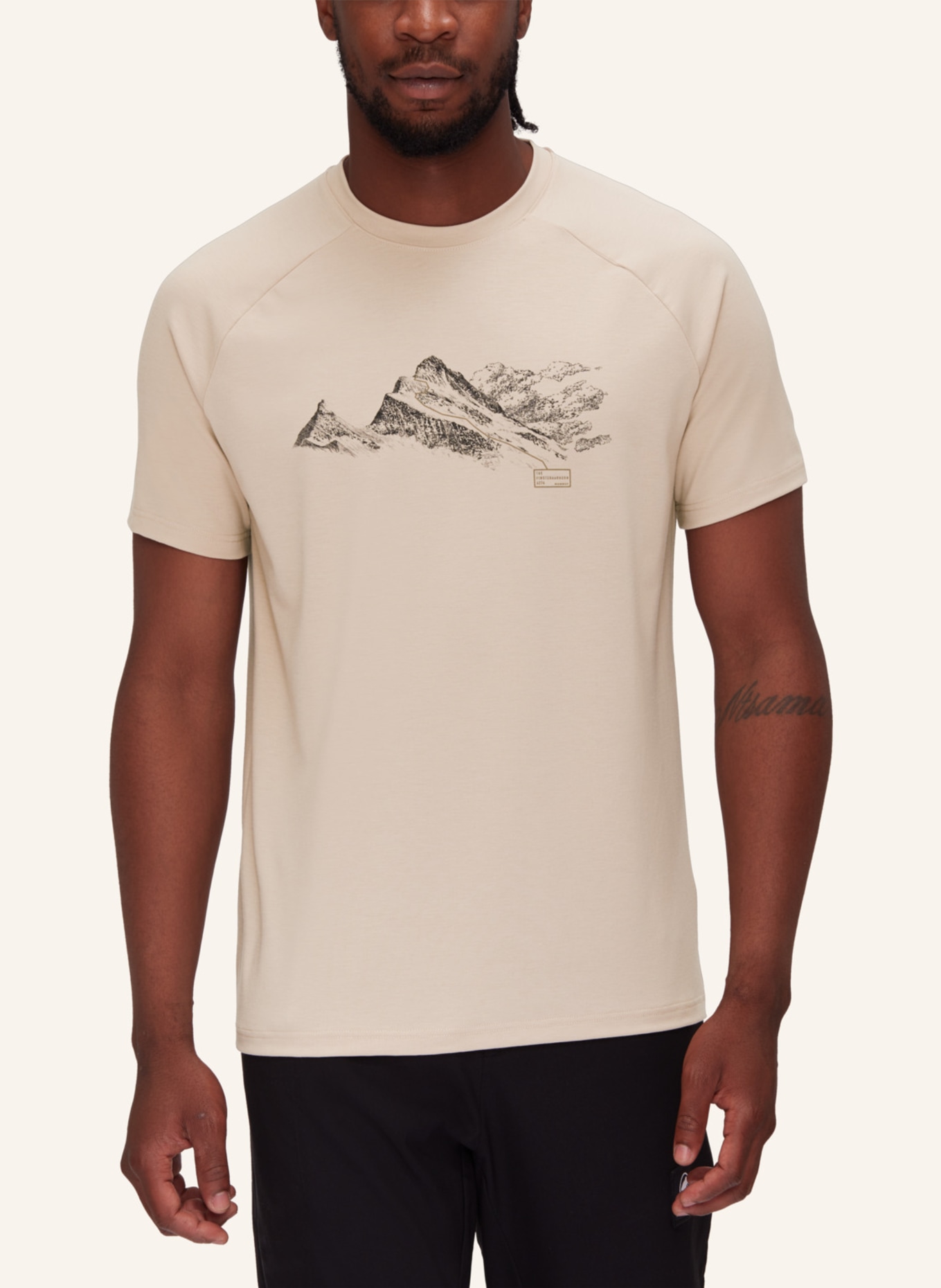 MAMMUT Mammut Mountain T-Shirt Men Finsteraarhorn in beige/ braun  
