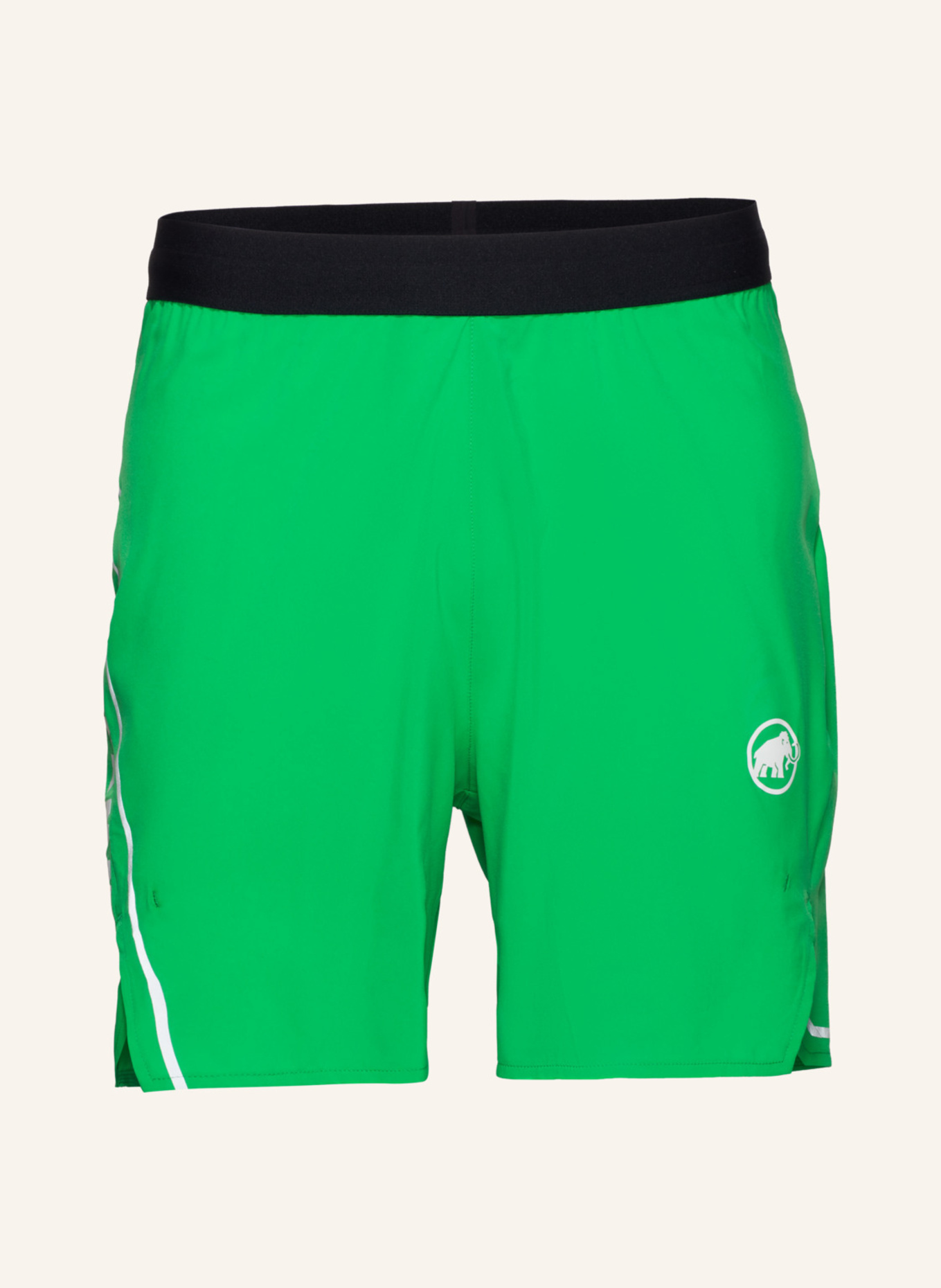 MAMMUT Aenergy TR Shorts Men: GRÜN