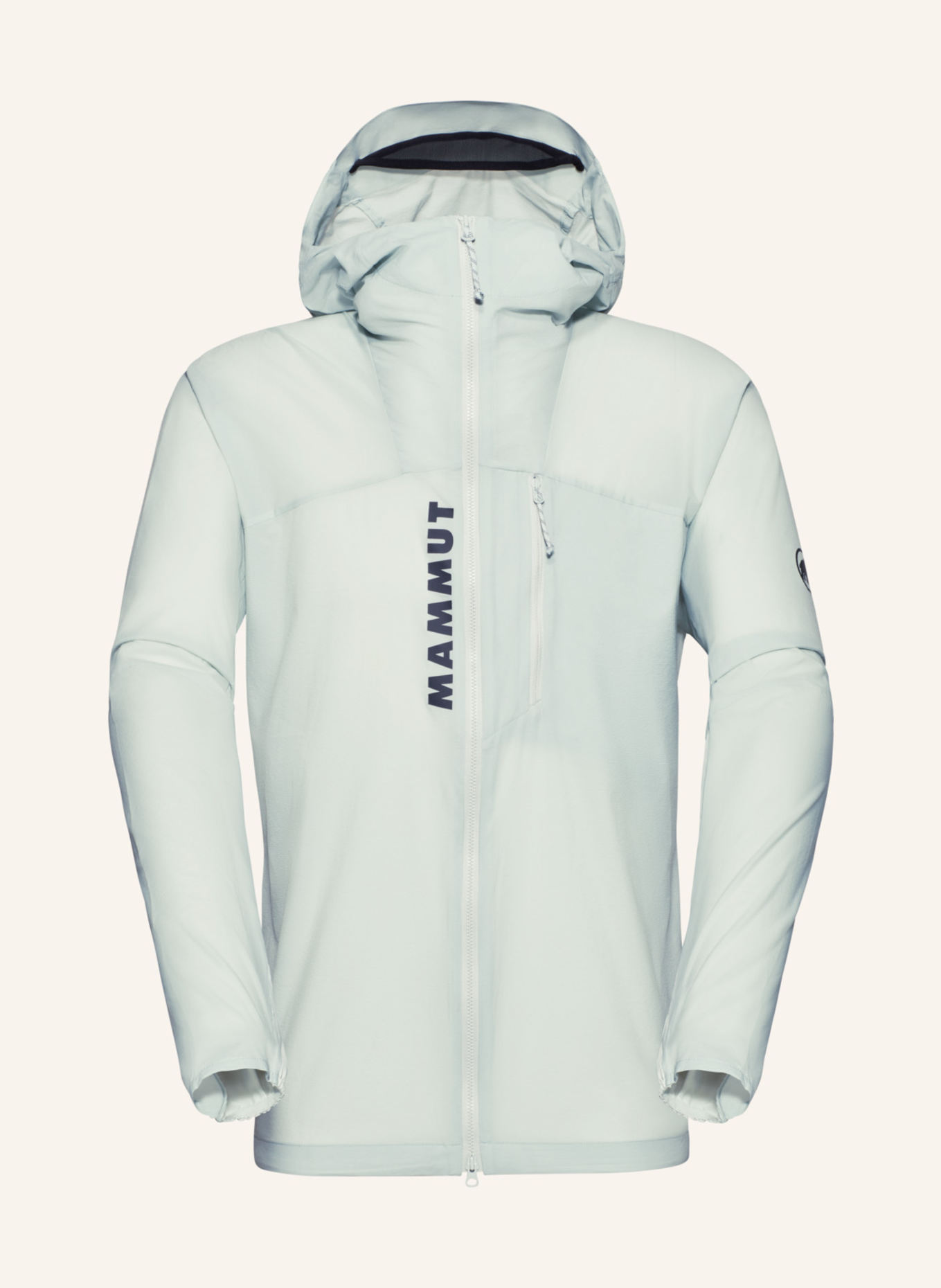 MAMMUT Aenergy WB Hooded Jacket Men: GRÜN